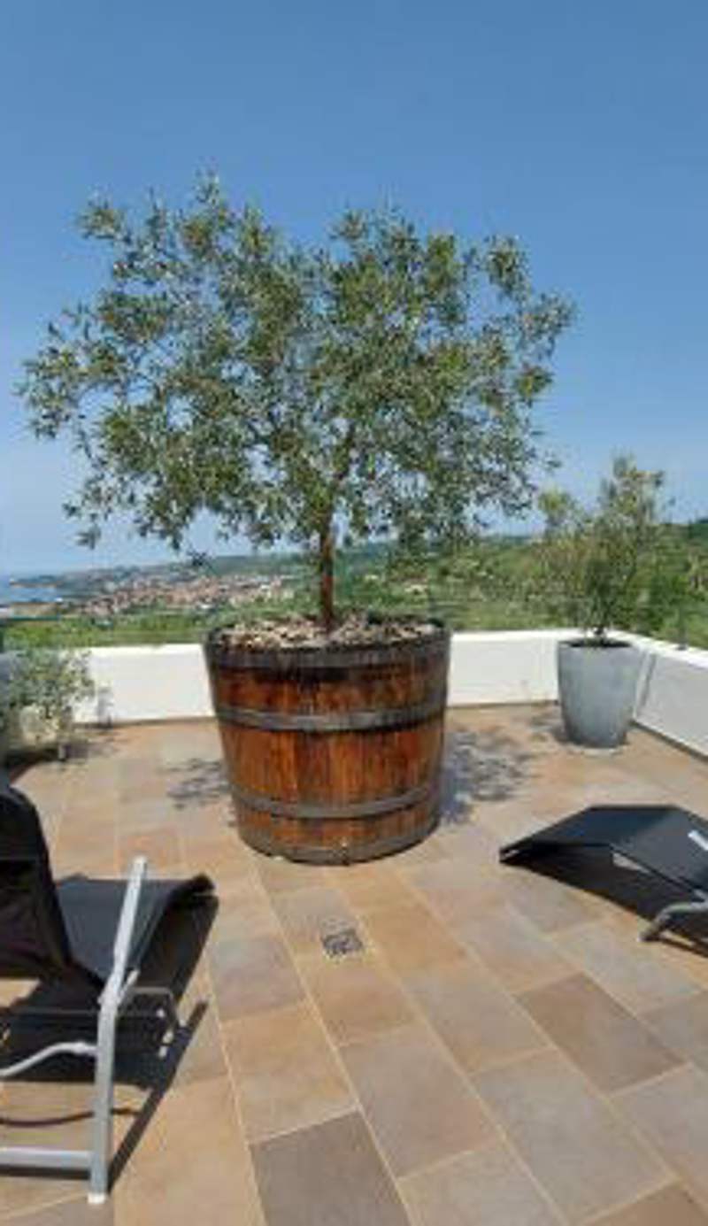 Apartma Viktorija
