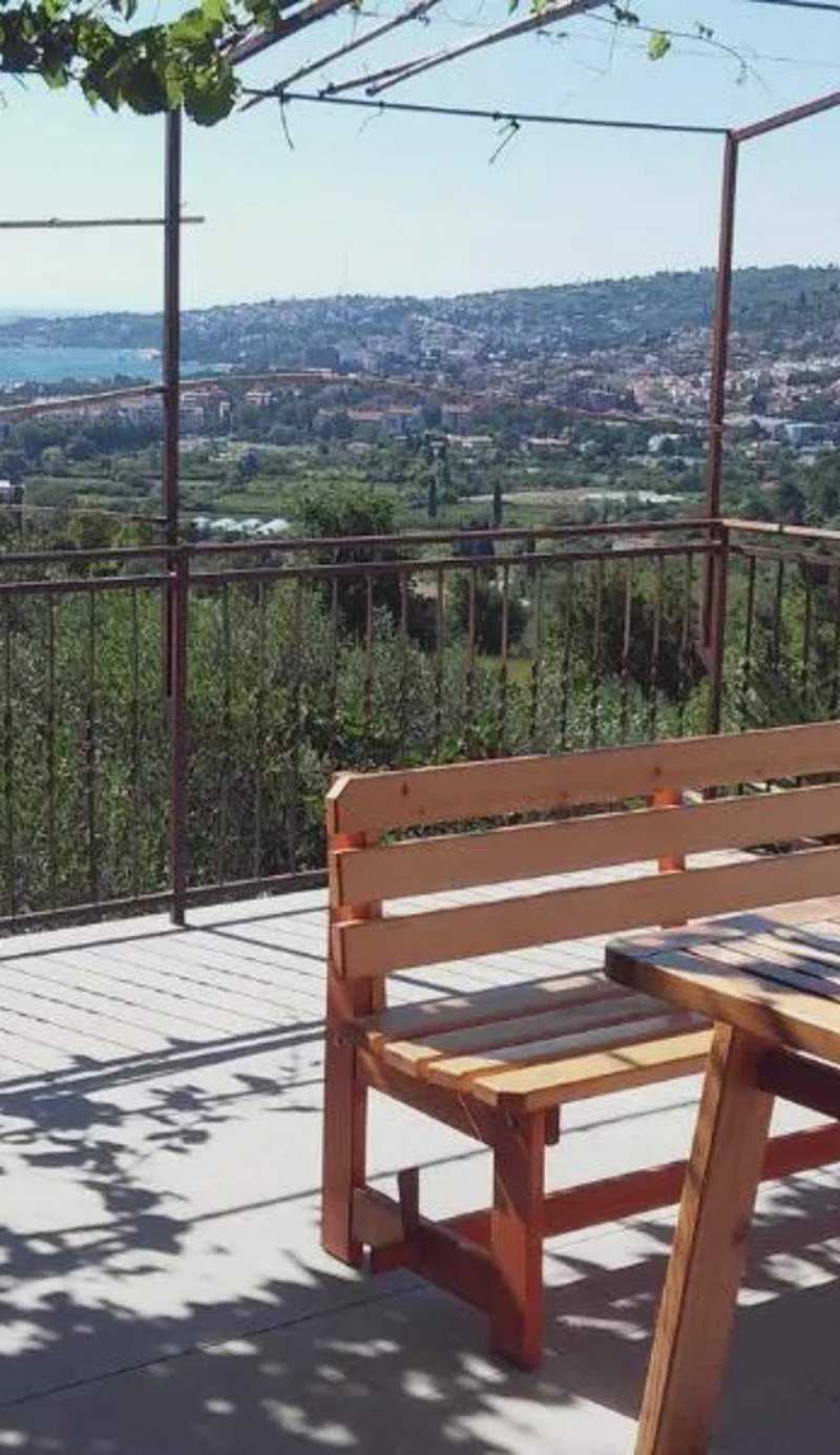 Apartma med oljkami Spodnji
