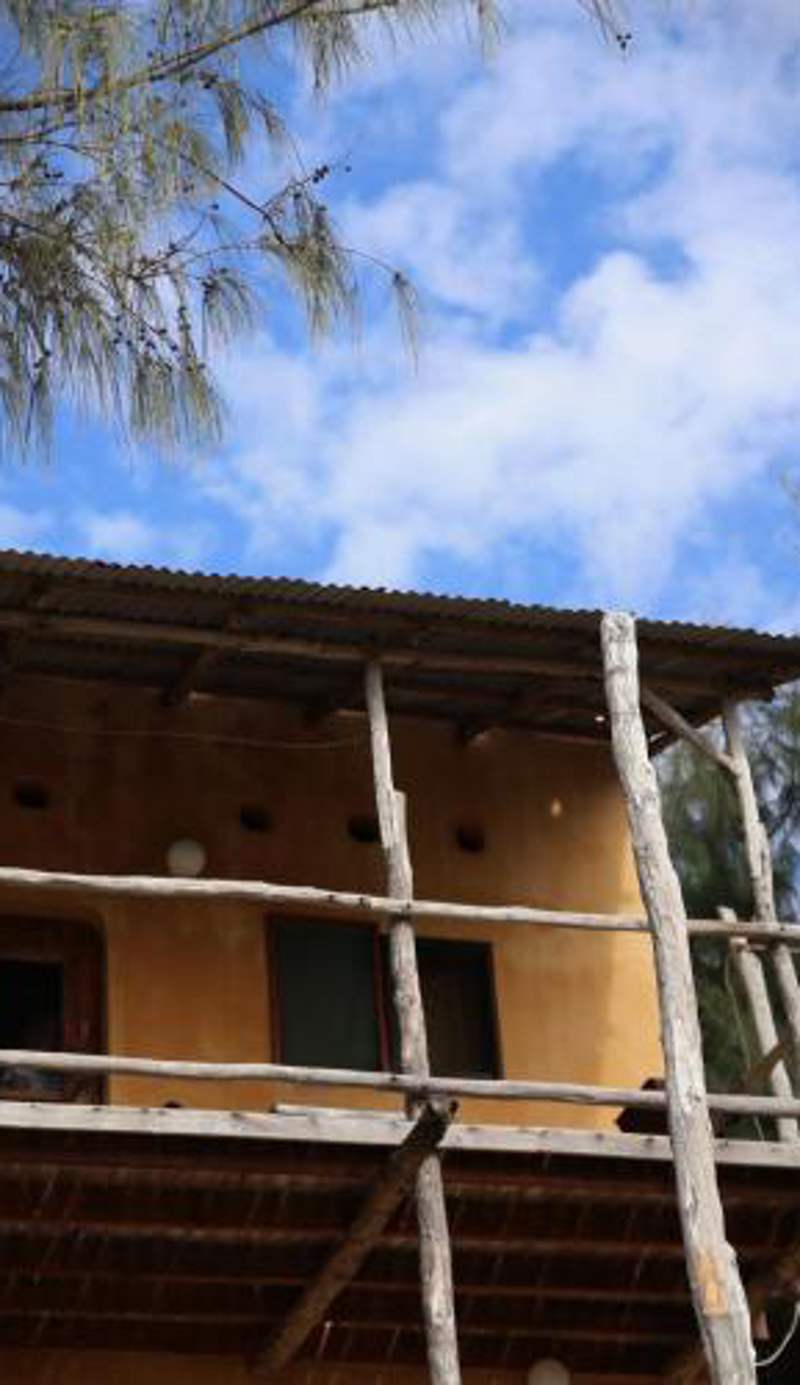 Tree House Cottage, Ocean View