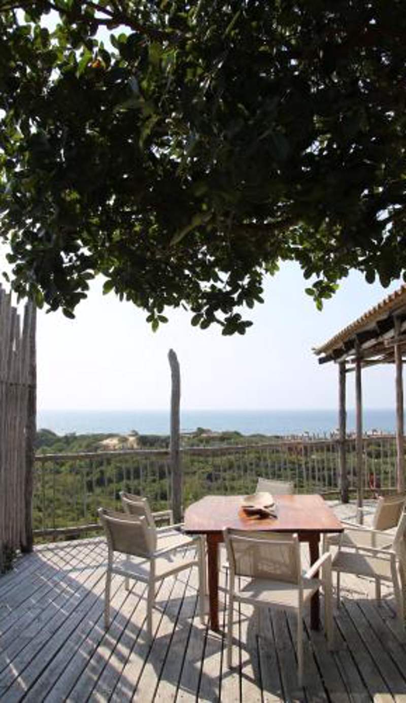 Tree House Villa