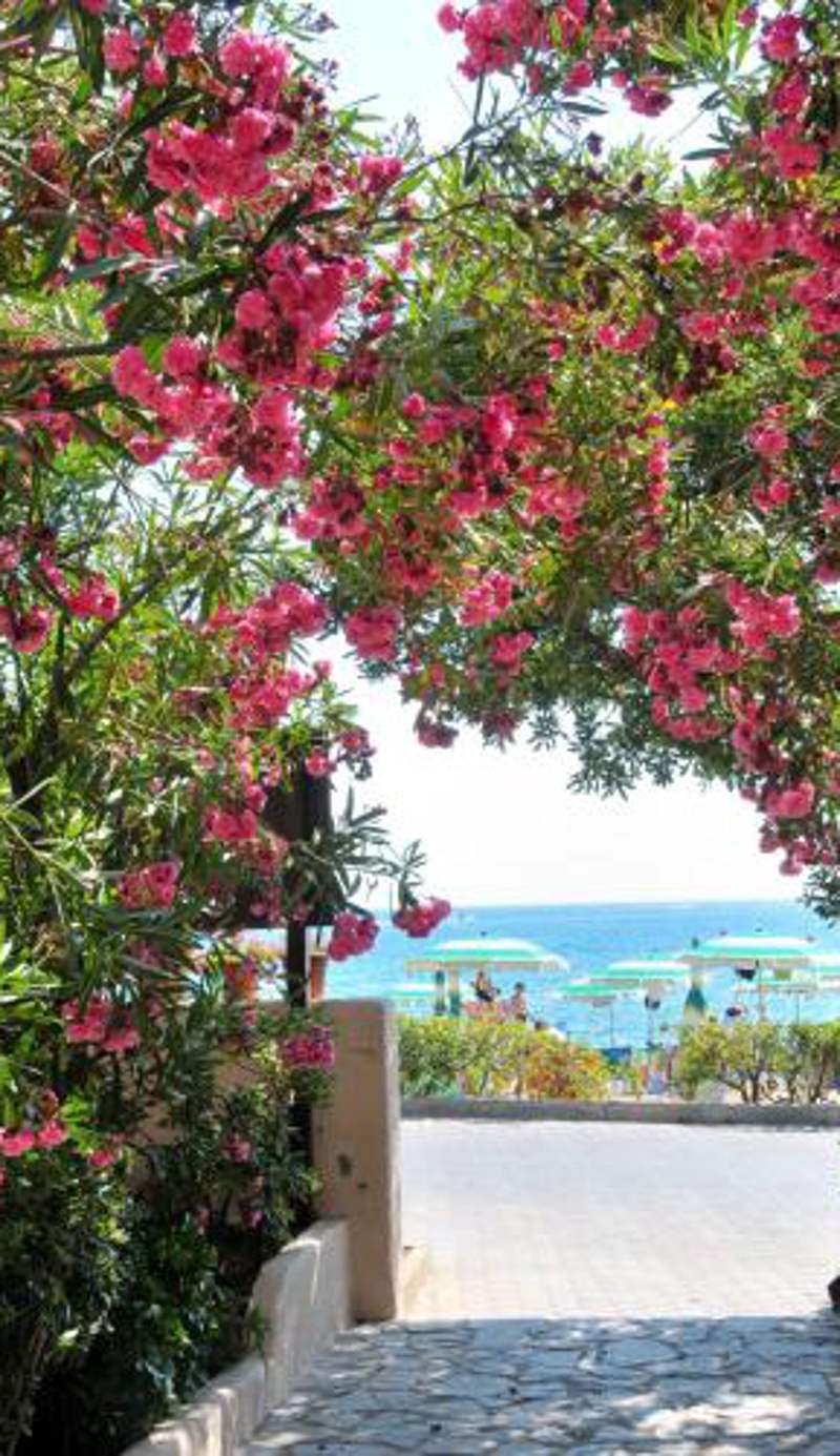 Hotel Villa Rodriguez