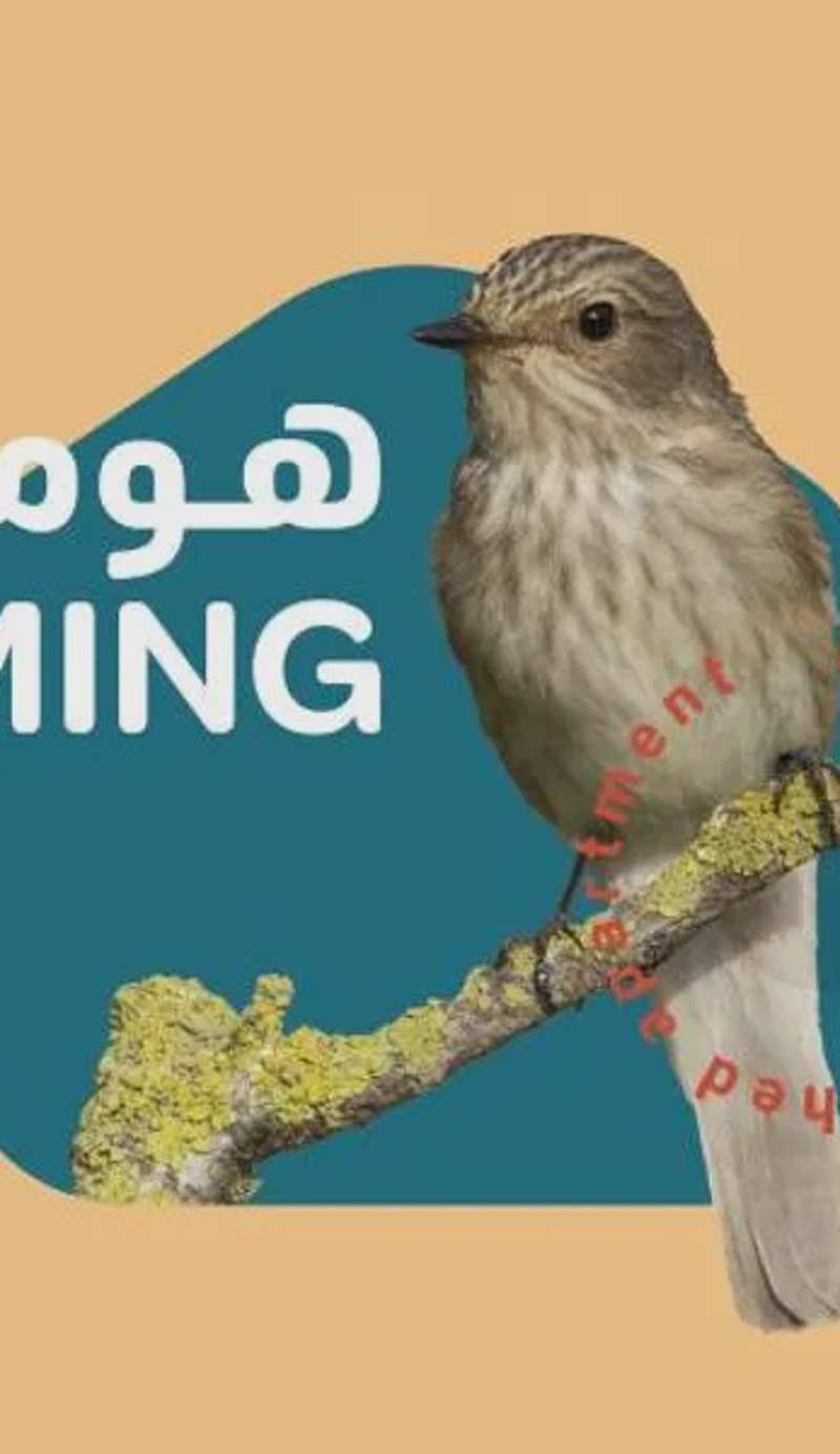 أجنحة هومينج ــ Homing Suites