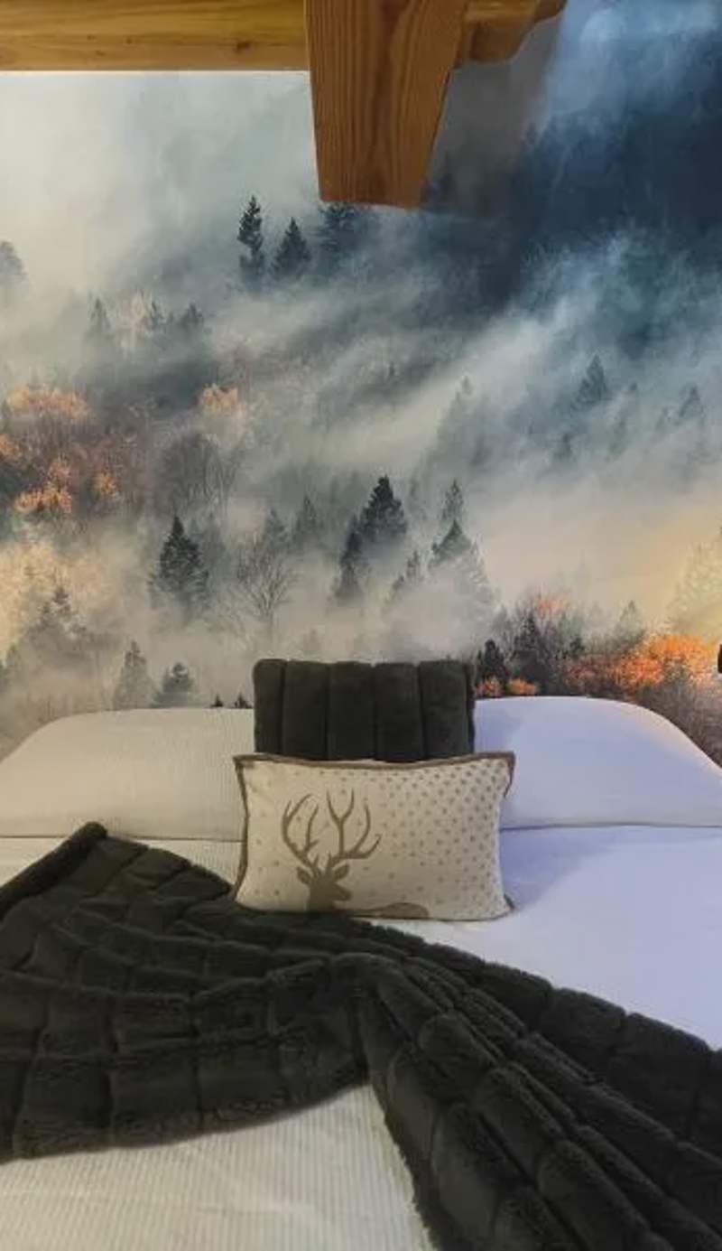 La Chambre des Rêves