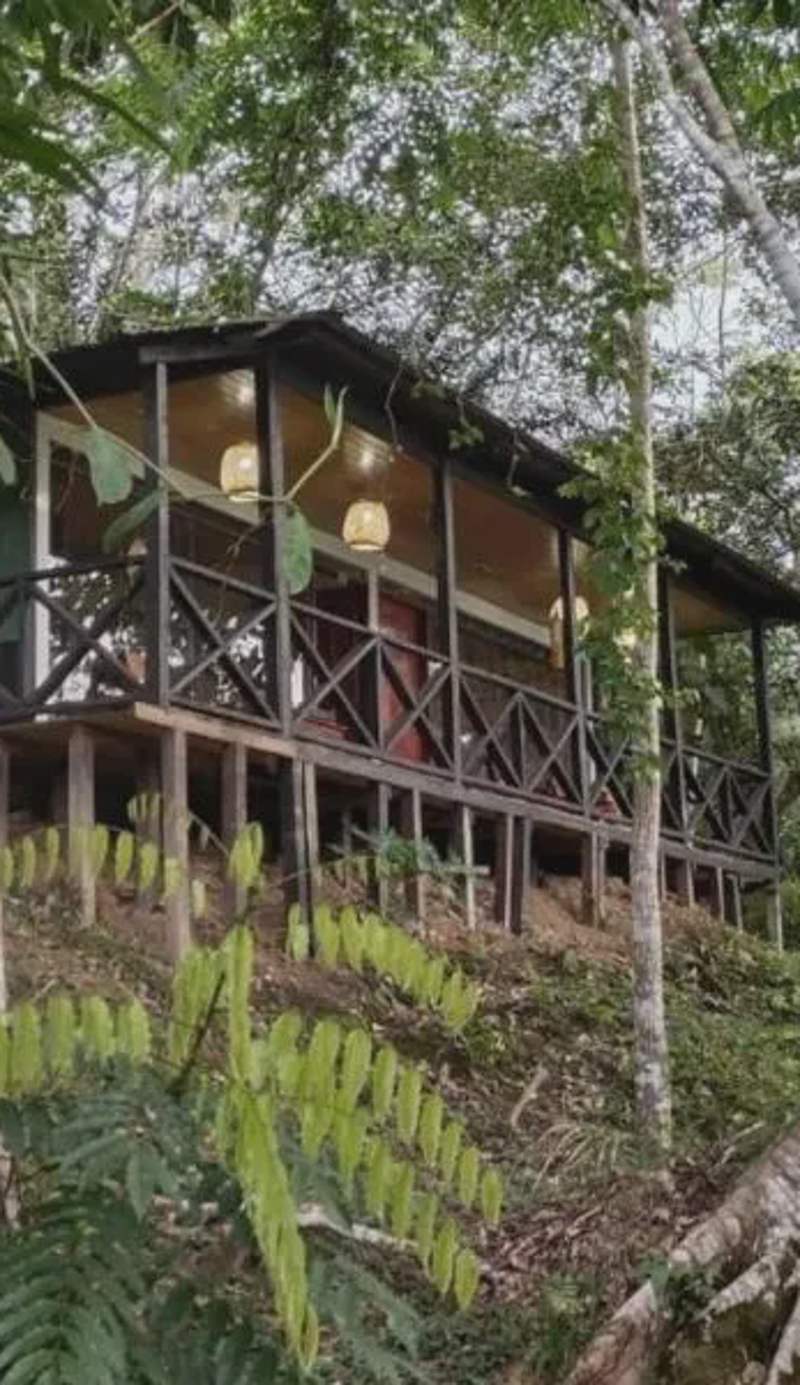 Eco Hotel Aldea -AMAZONAS