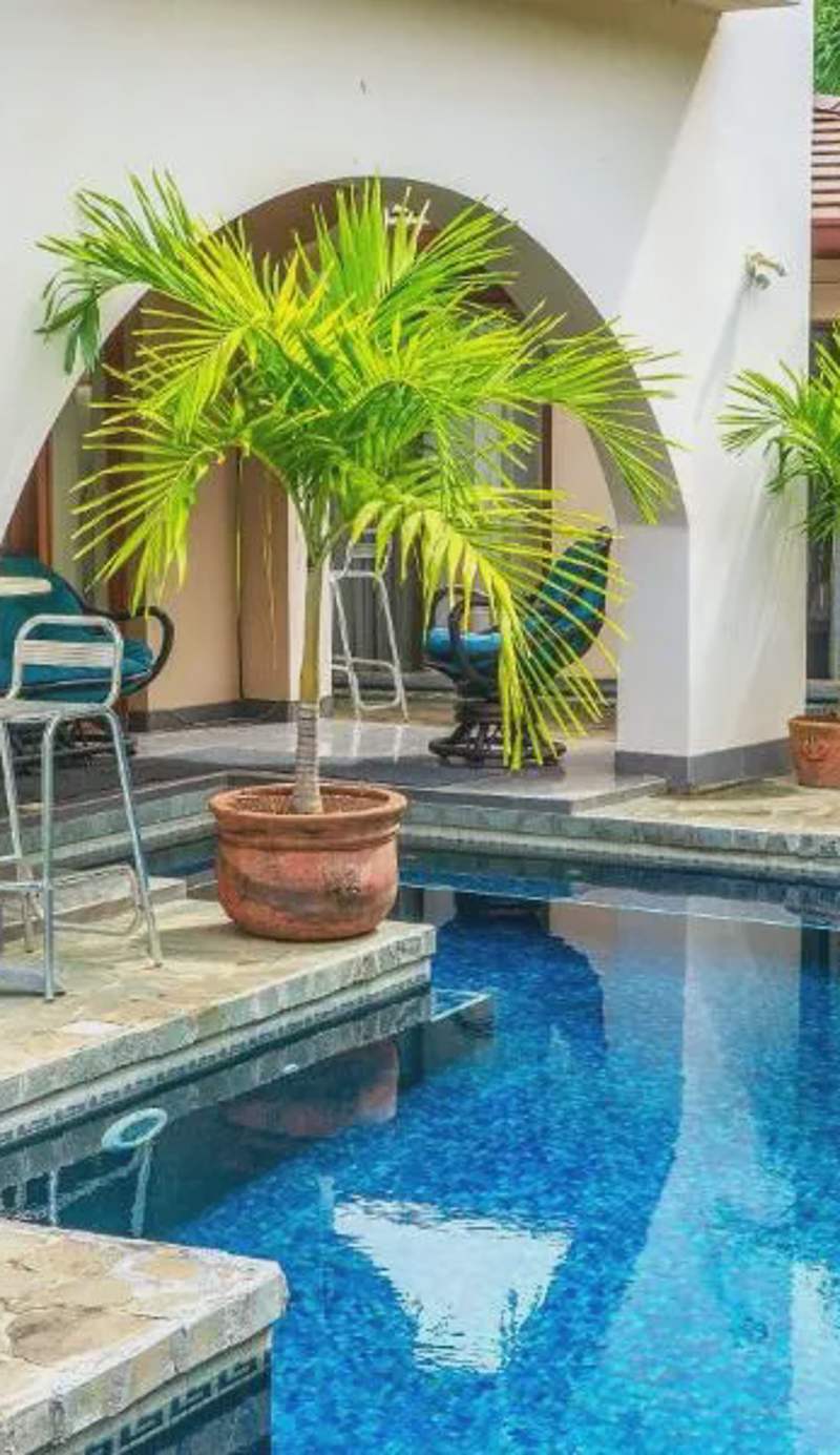 CWC Casa Wasabi 1bedroom 1bathroom