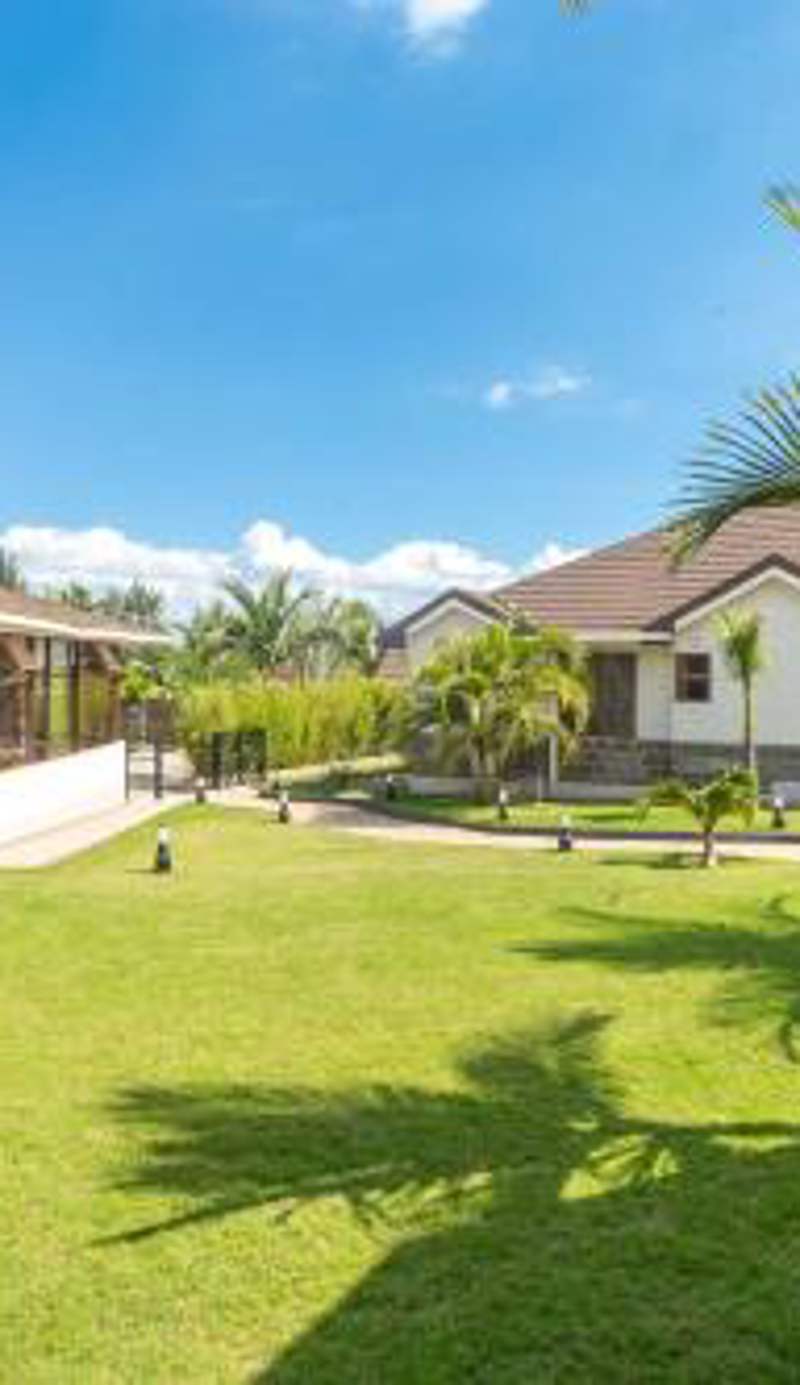 Rock Hyrax Hotel