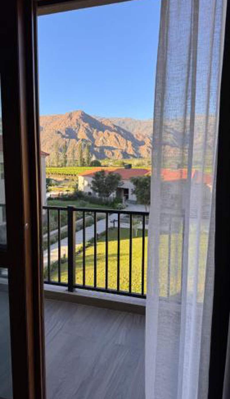 Vista Montañas y Viñas