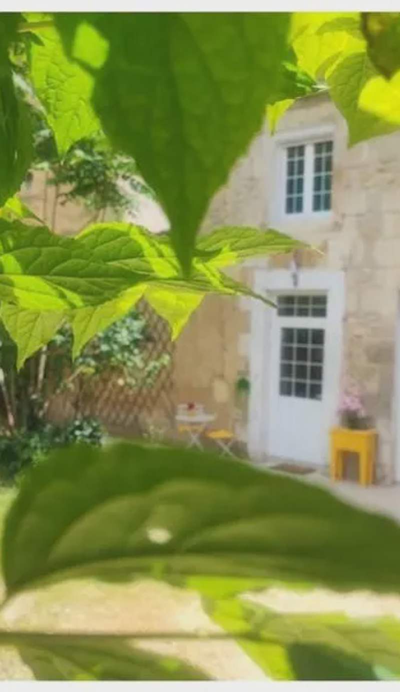 Le CocoOn Doré