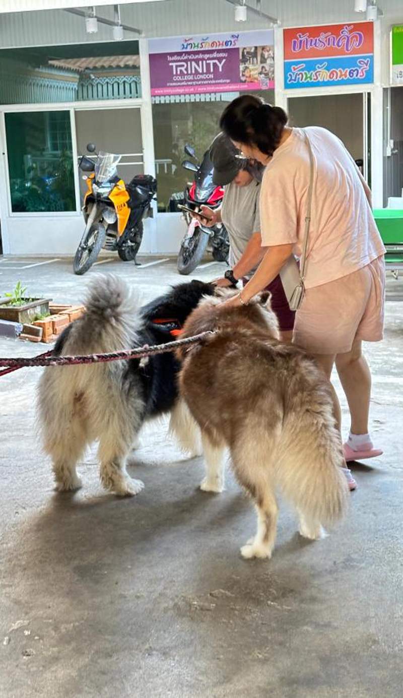 Chinathip Yusabuy