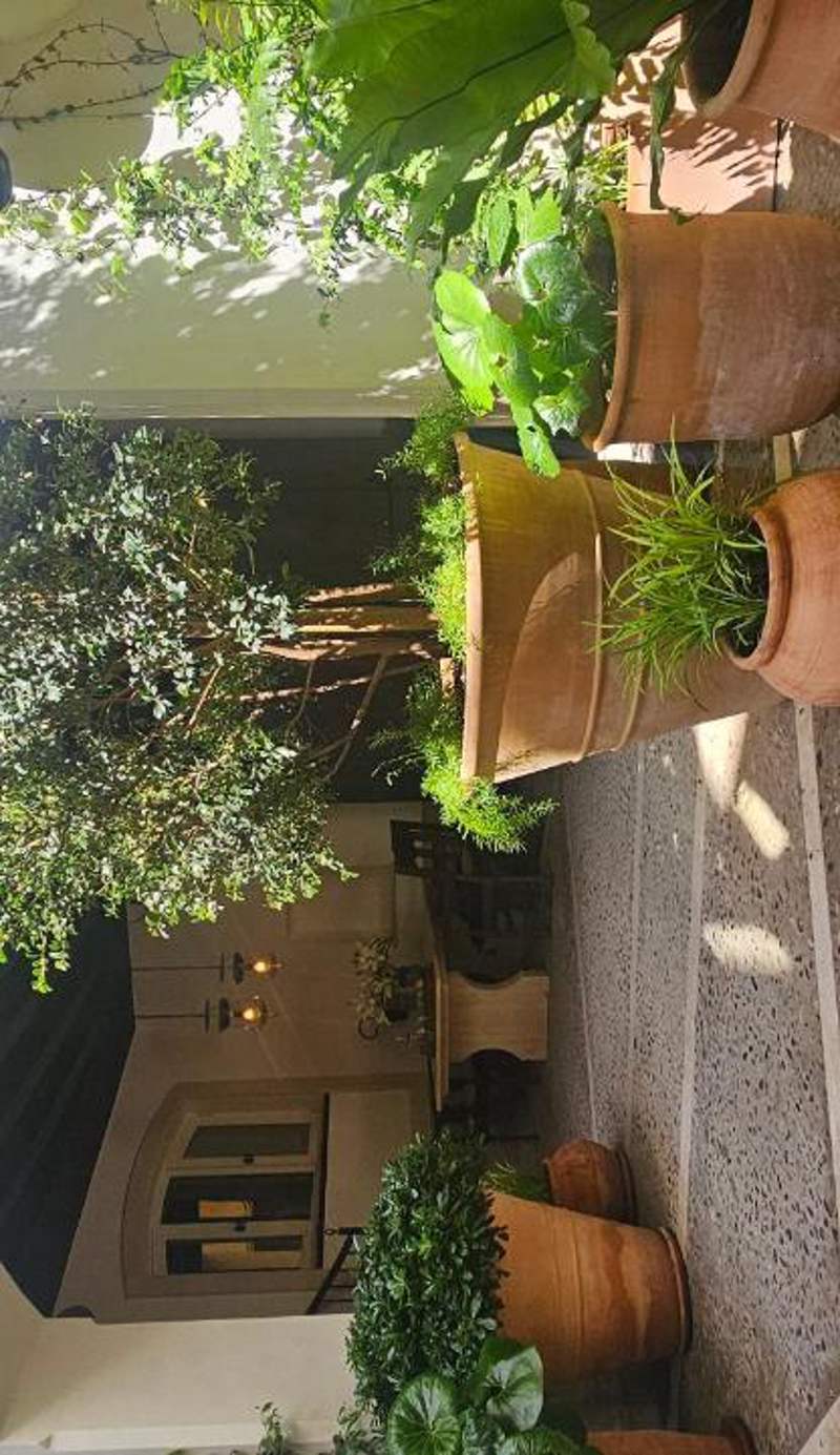 Portella Palma