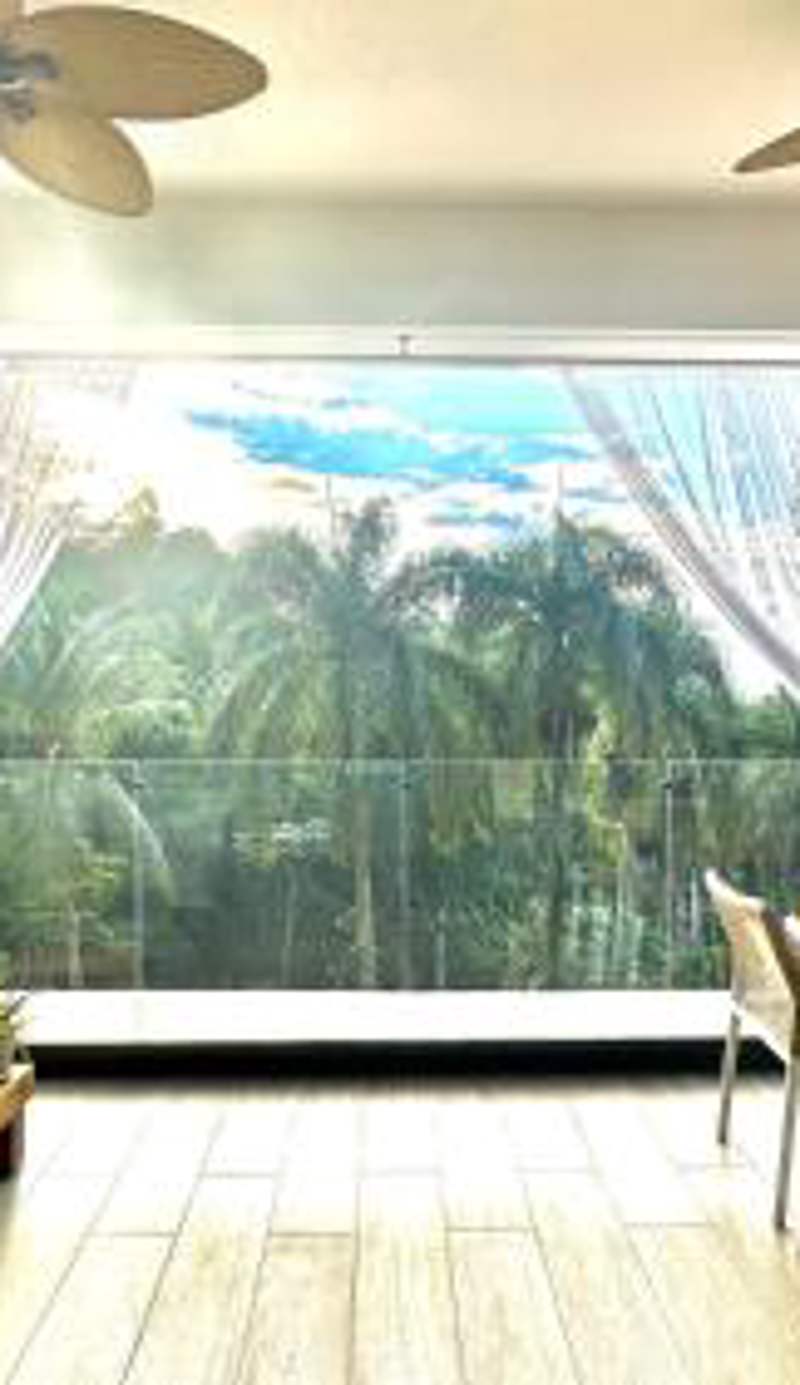 All-New Zen Apartment with TreeTops and Ocean Views !