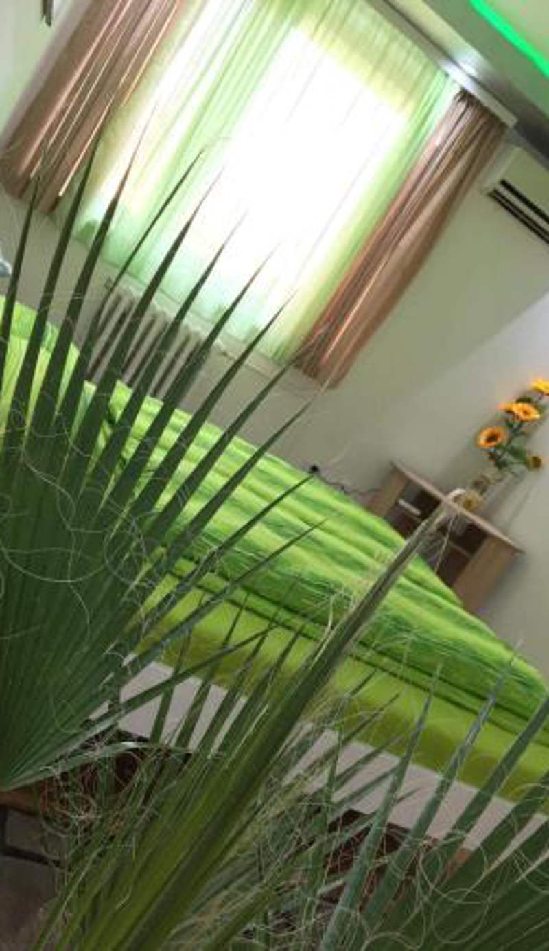 GREEN DREAMS