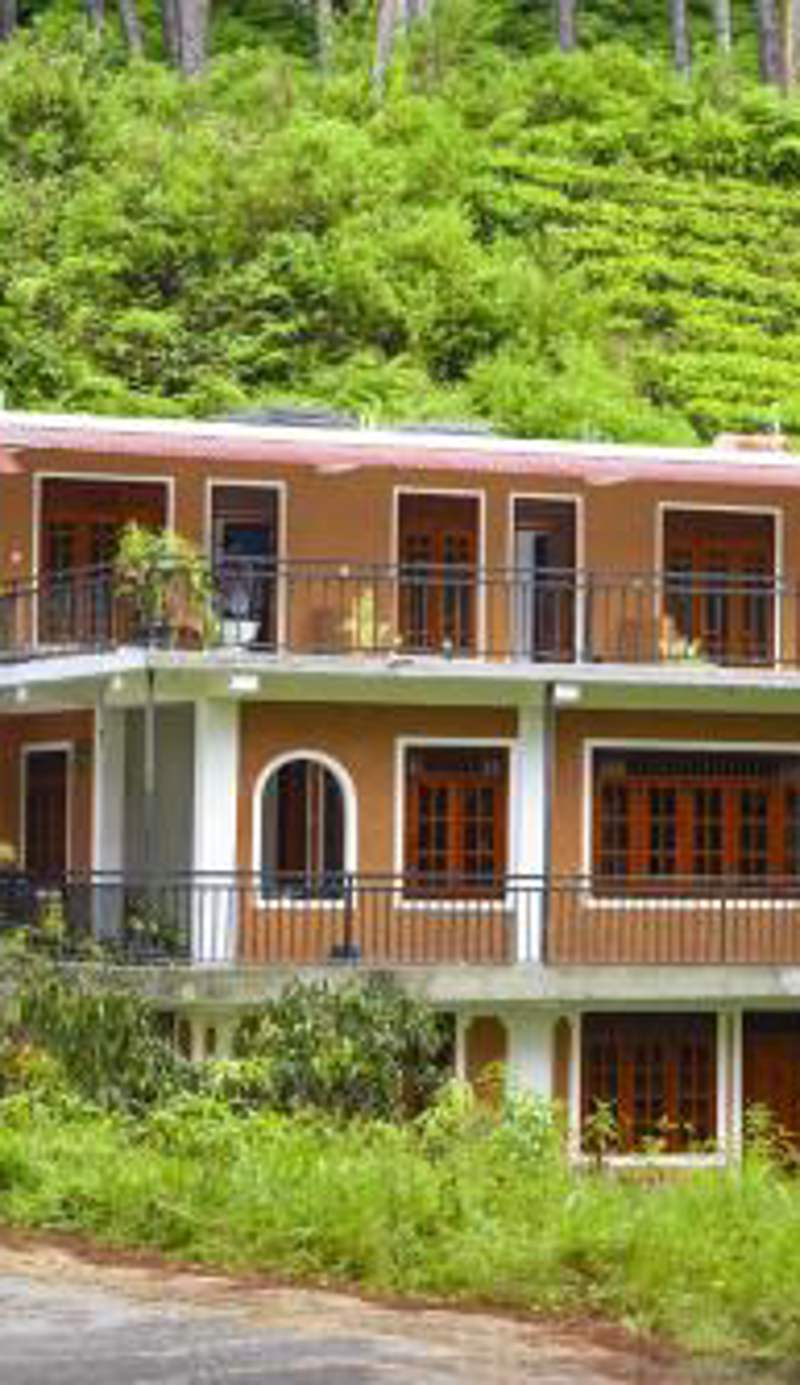 Pine Trees Homestay