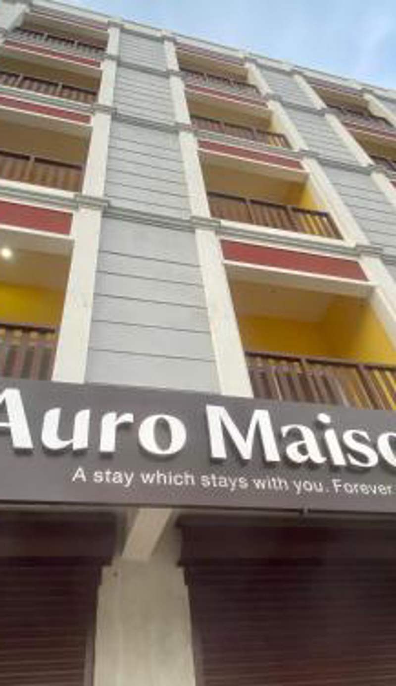 Auro Maison