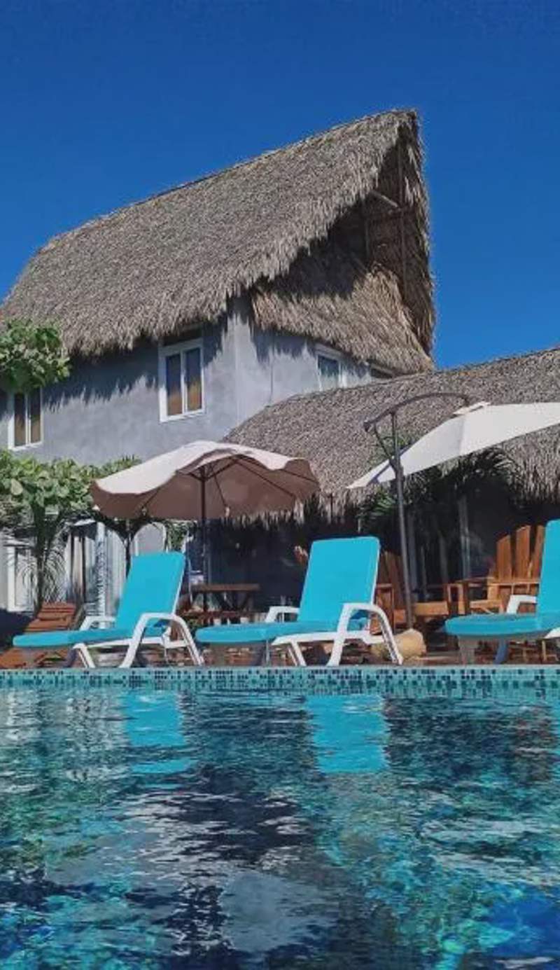 Gecko Hotel