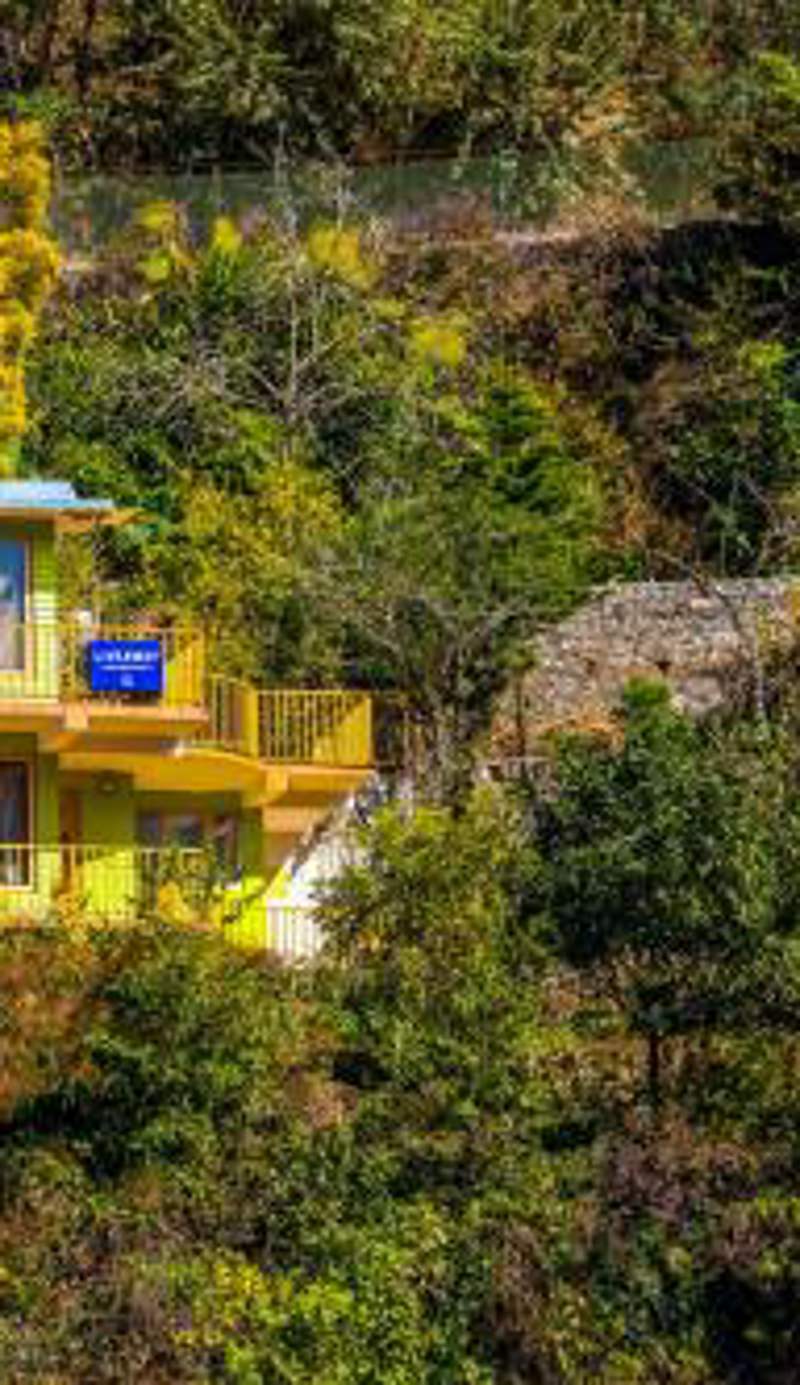 LiveAway Mussoorie, Kempty by PACK