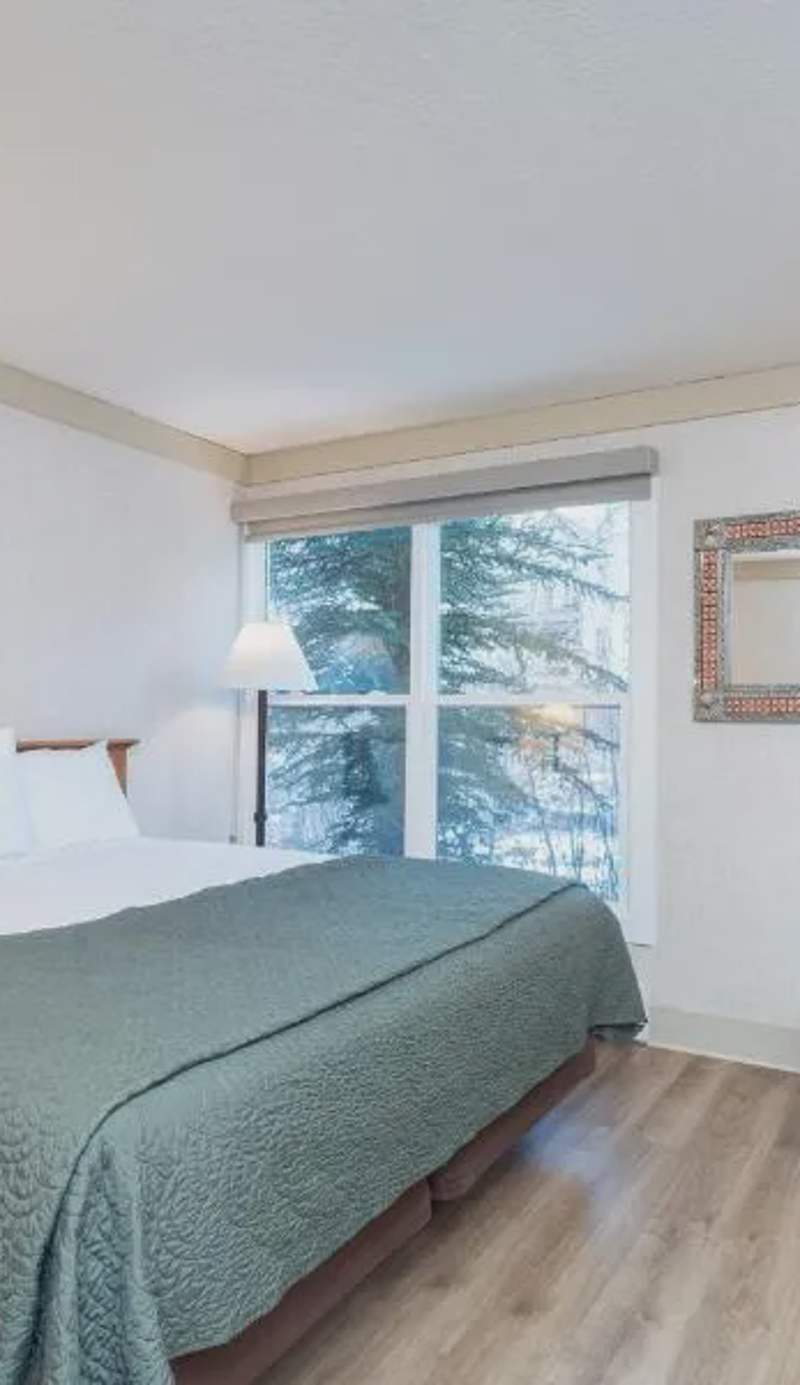 Mountainside Inn 219 by Alpine Lodging Telluride