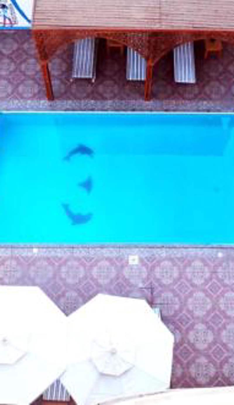 Hermina Guest House