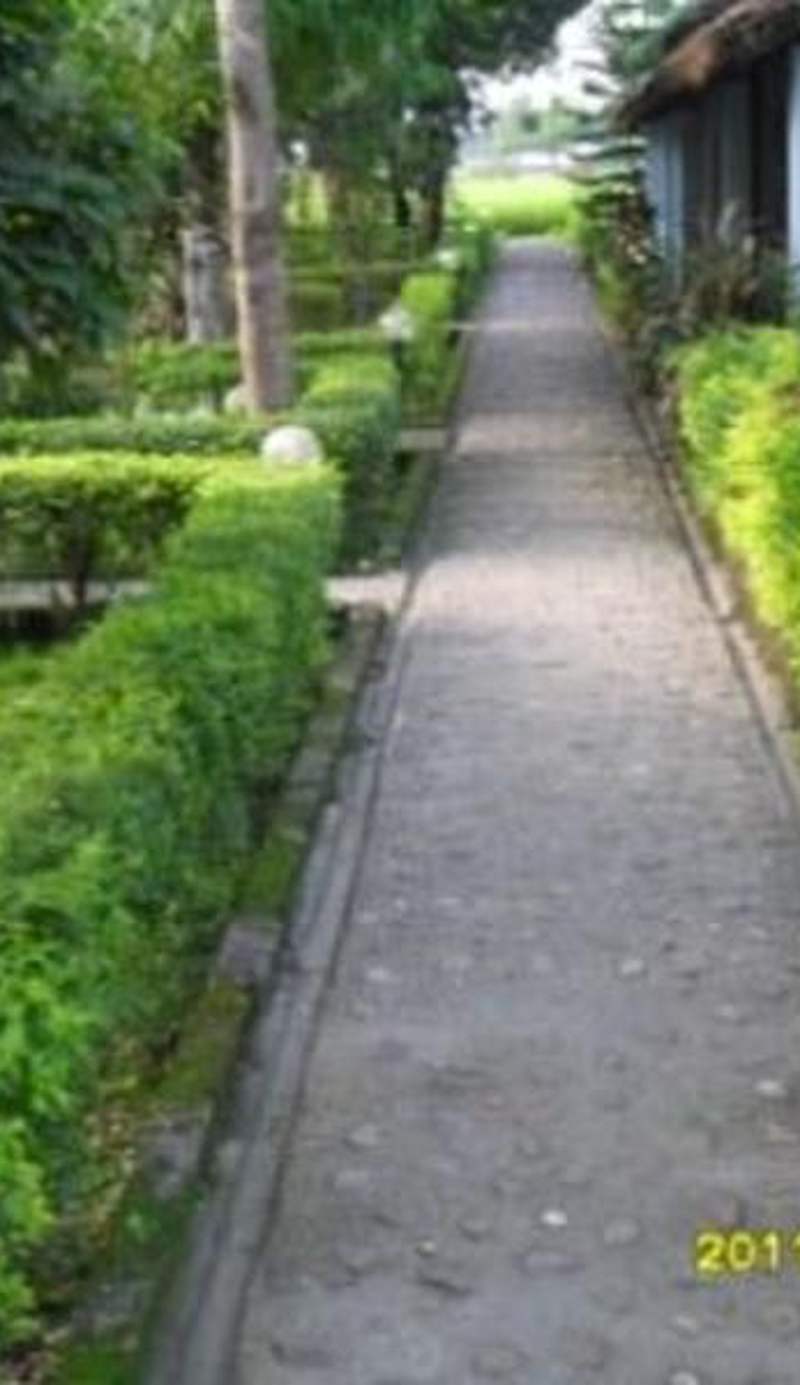 Chitwan Forest Resort