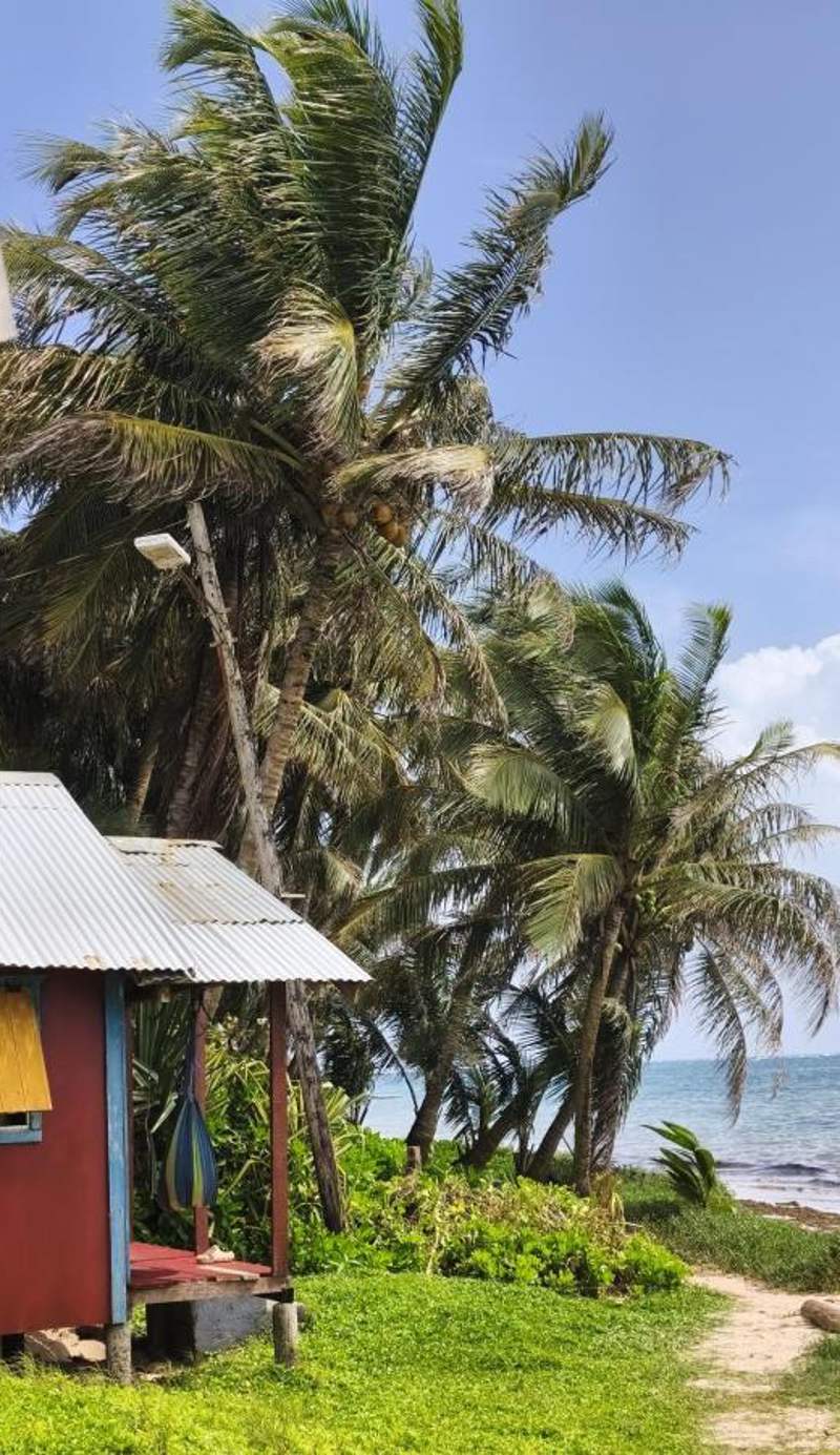Sunrise Paradise/Carlito´s Place