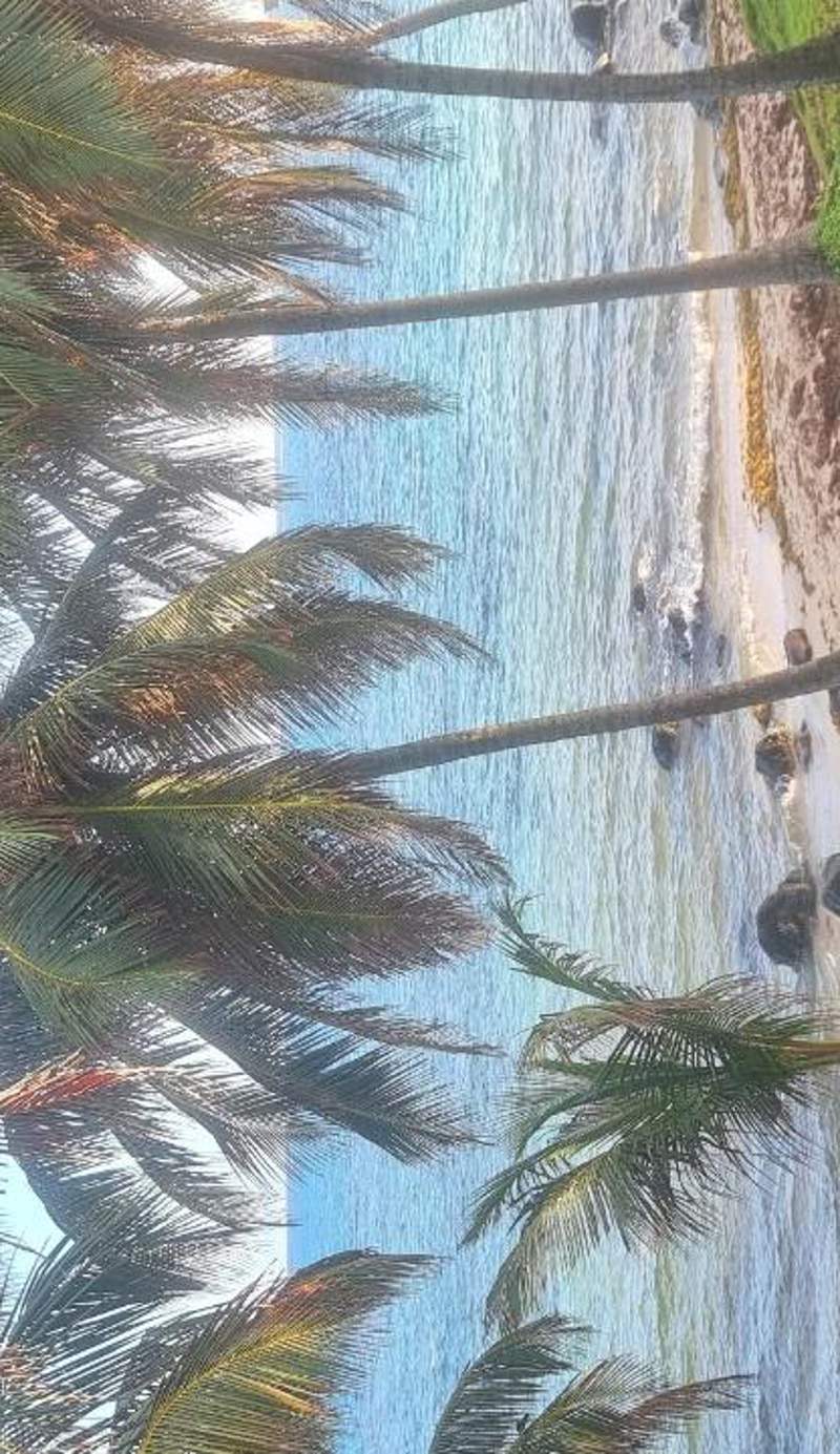 Yemaya Reefs, Member of Small Luxury Hotels of the World
