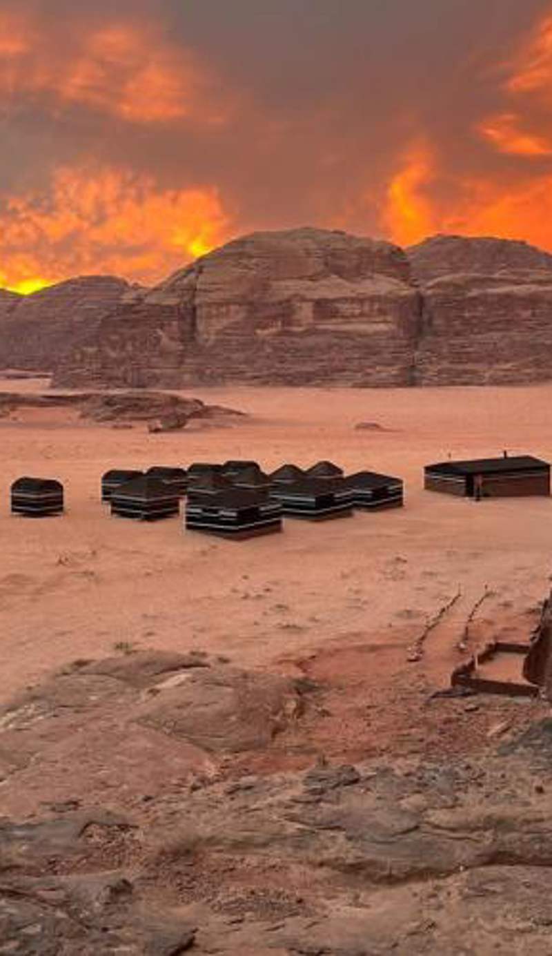 Bedouin host camp& with tour