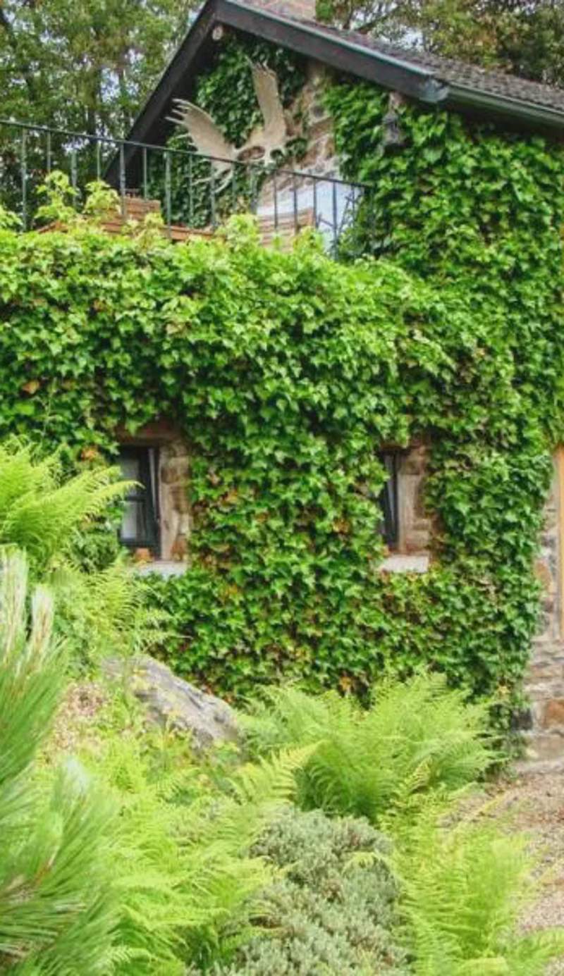 Gîte La Petite Francorchamps Ardennaise