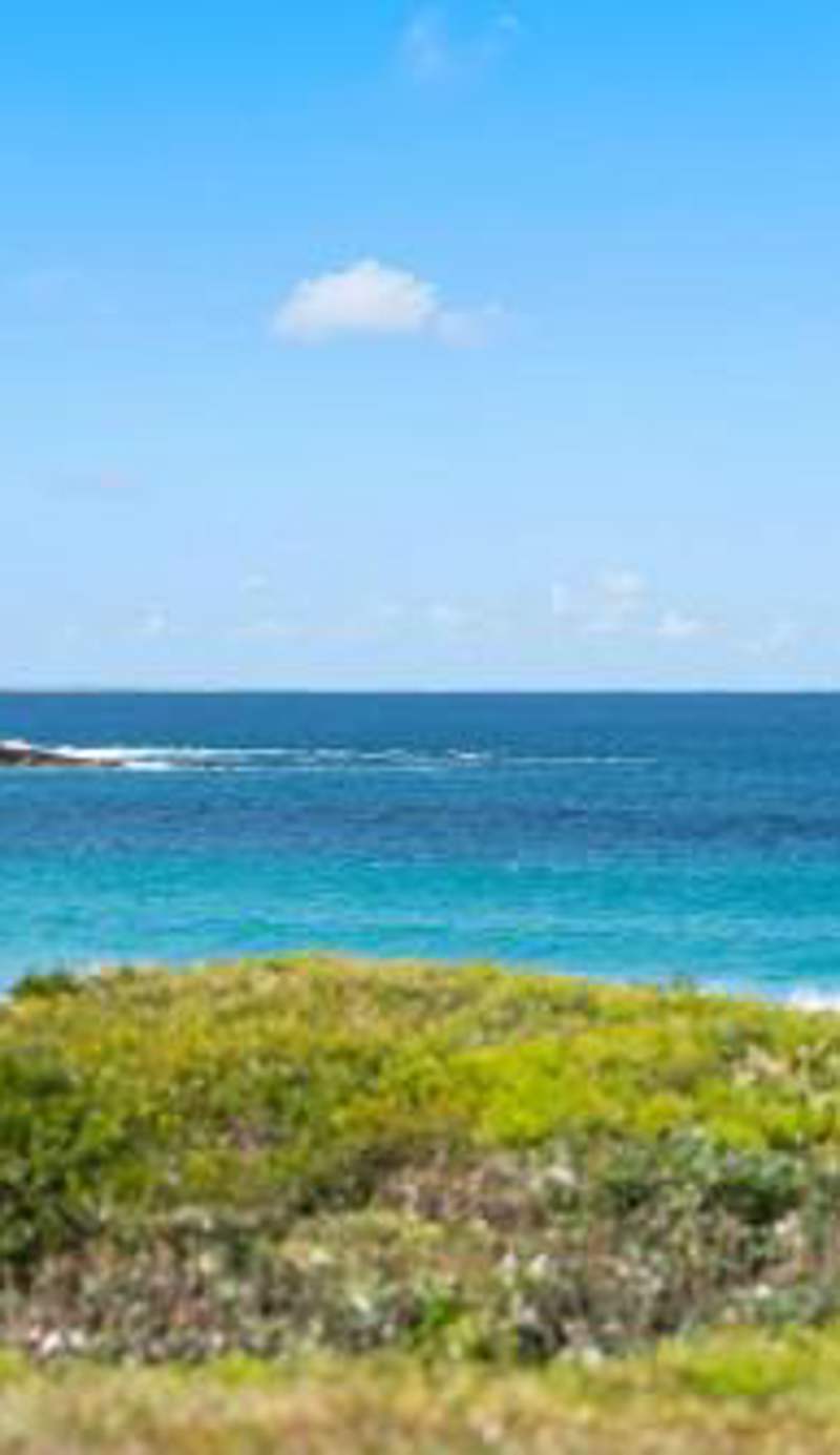 Surfside on Mollymook Beach
