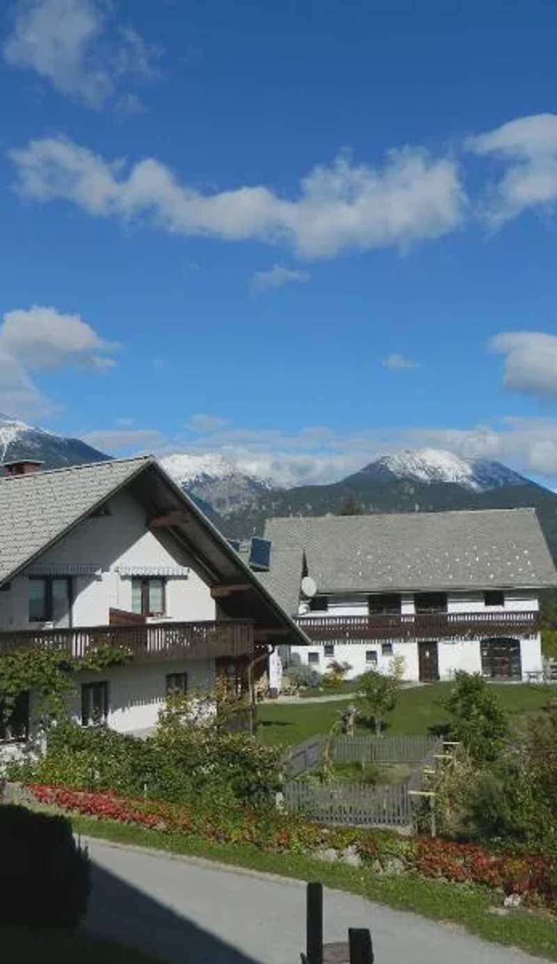 Apartma BioFit Bled