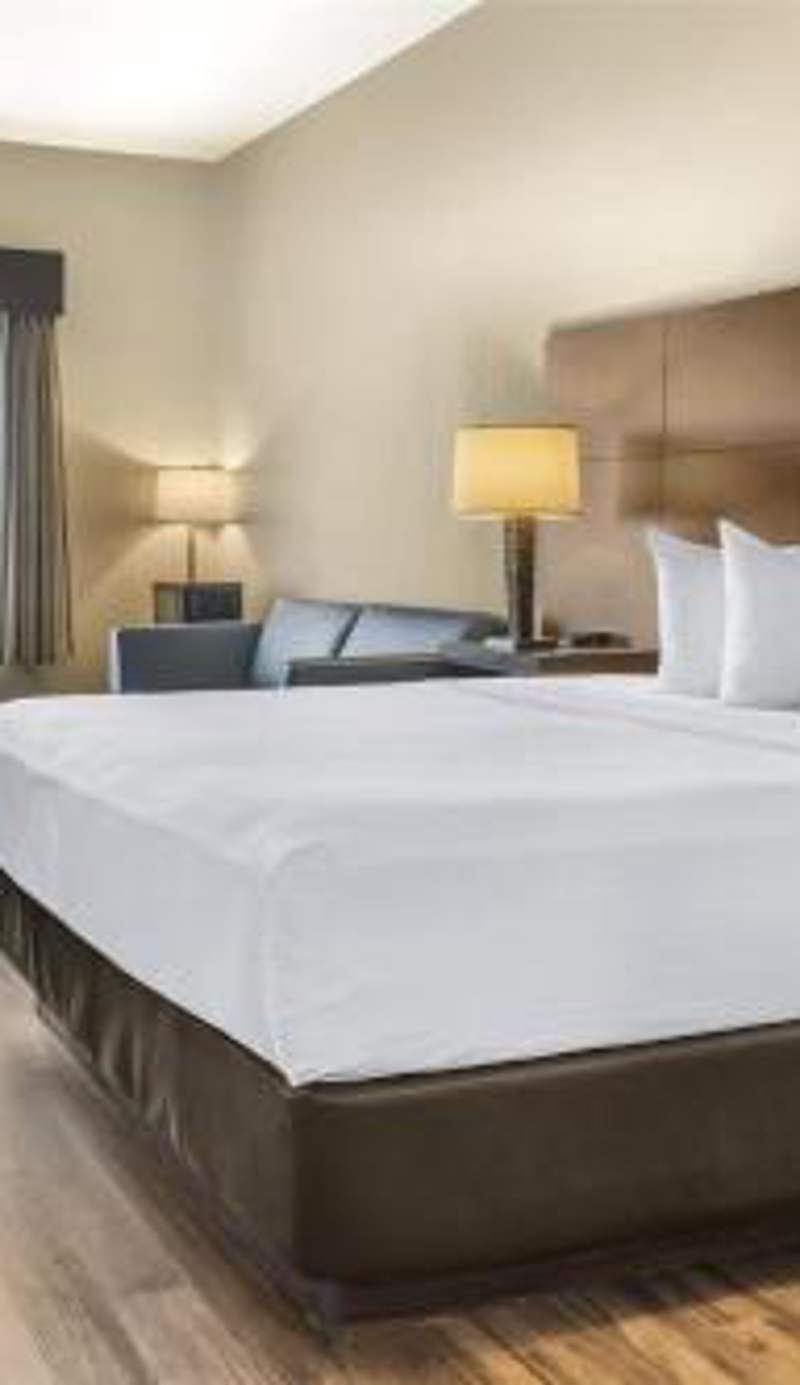 BEST WESTERN PLUS Saint John Hotel & Suites