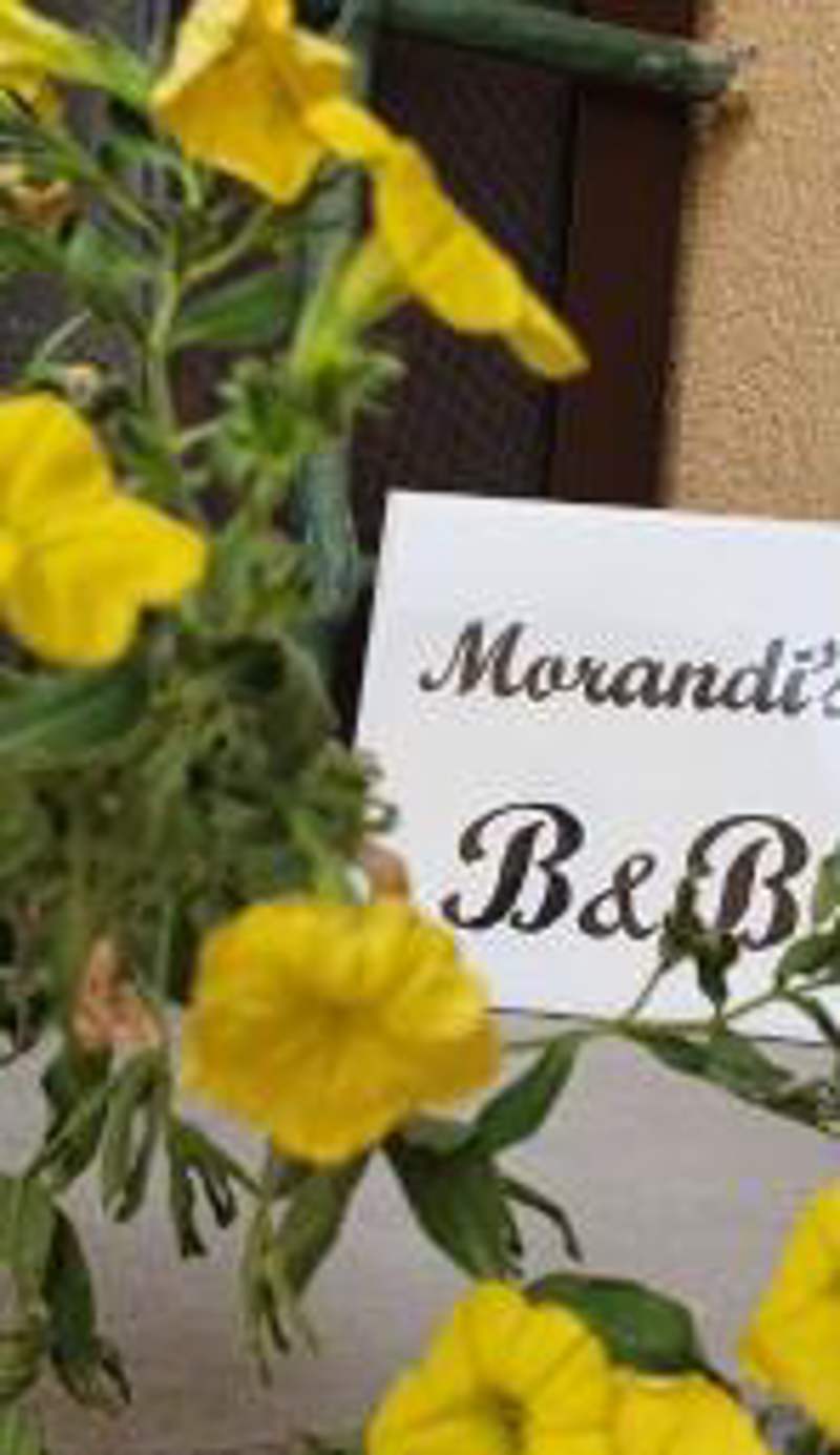 Morandi's