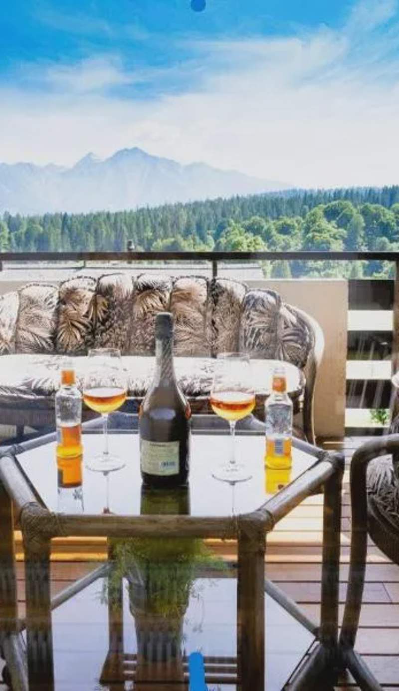 Panoramic View Apartment - Flims-Laax Ski Area