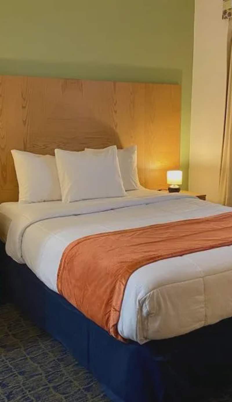 Ficus Hotel