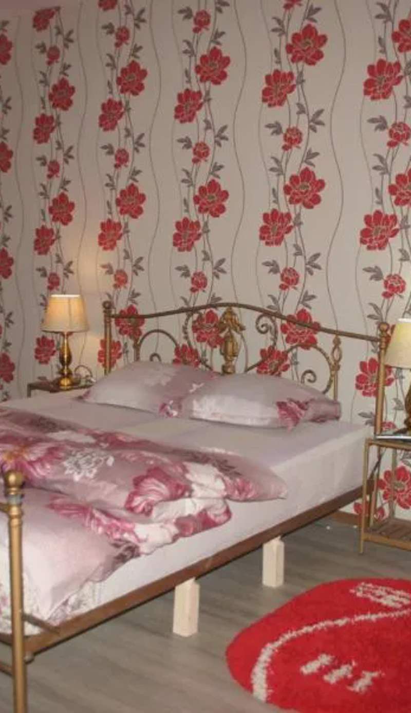 Salonul Rosu