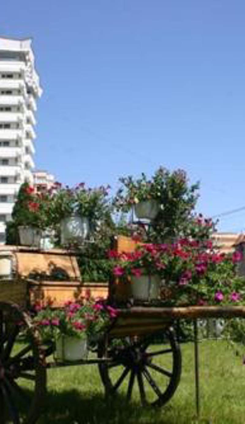 Hotel Decebal