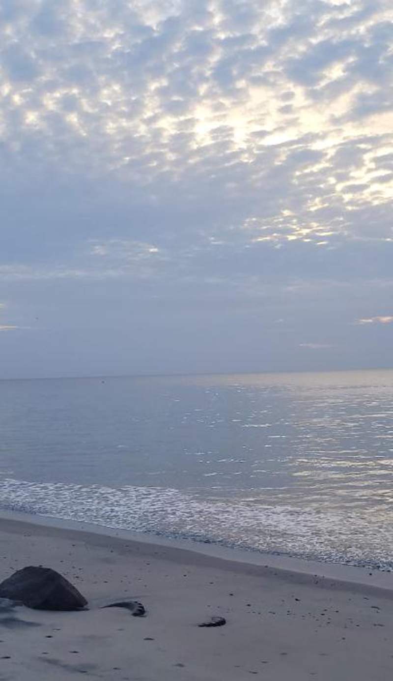 Tu casa de playa, Menus del Mar, te espera pronto