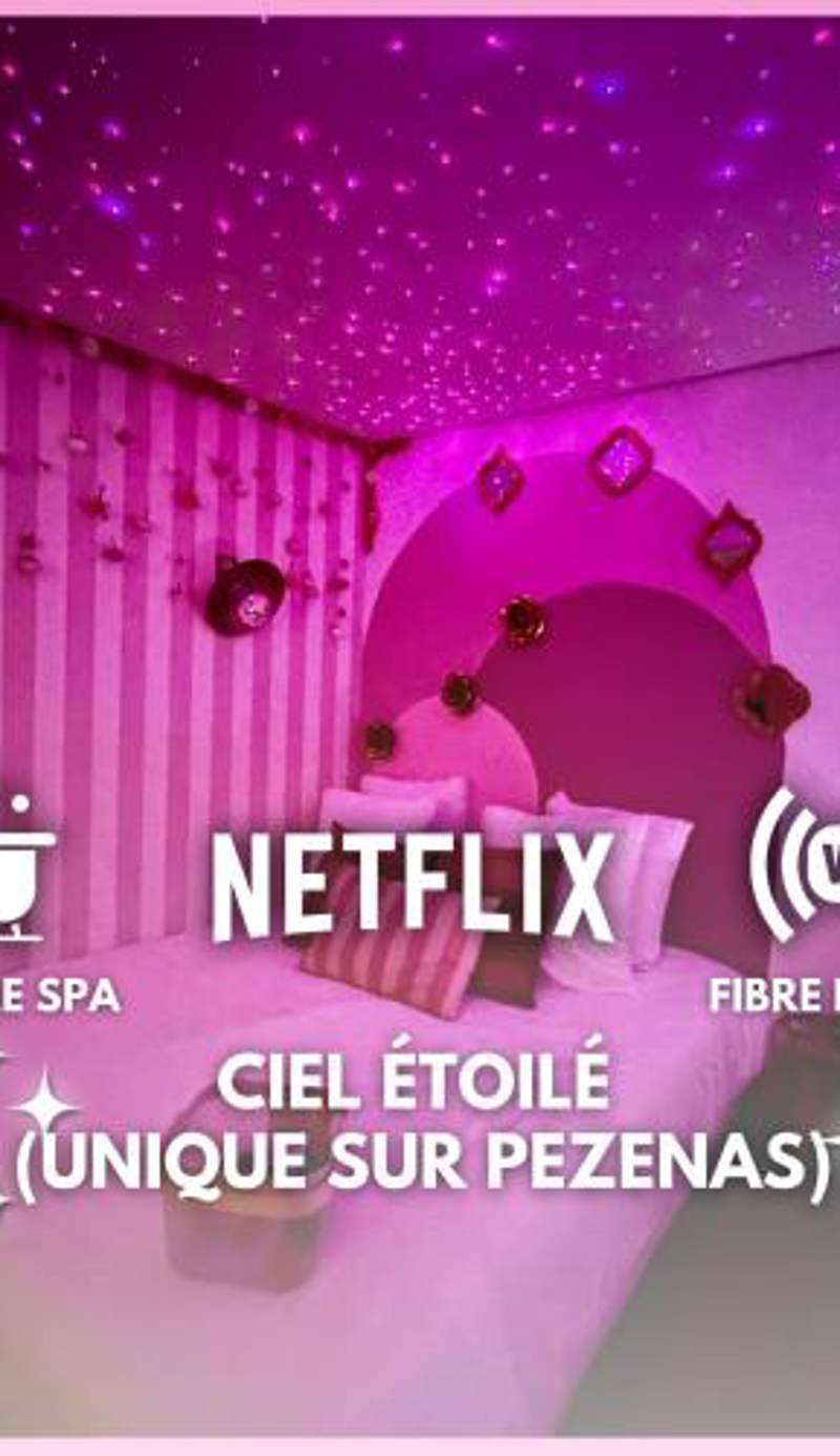 LOVE Room - Balnéo - Ciel Etoilé - Free Wifi - Netflix - Hyper Centre