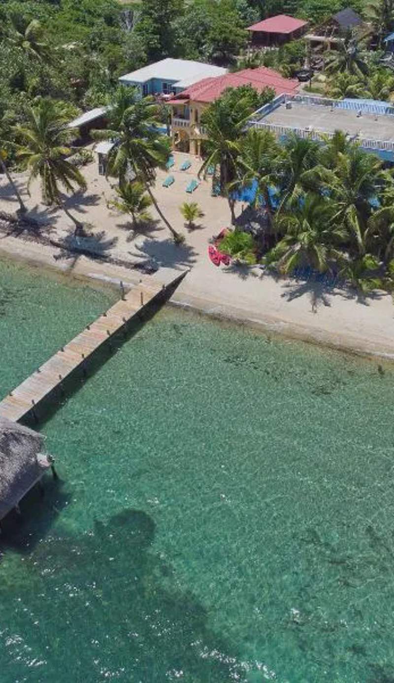 Parrot Cove Lodge