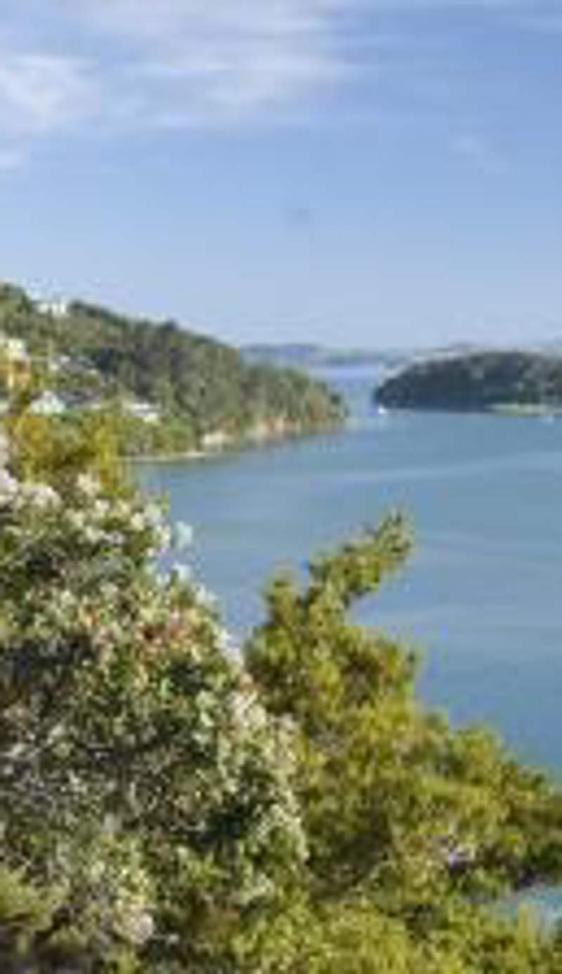 The Retreat Bay of Islands