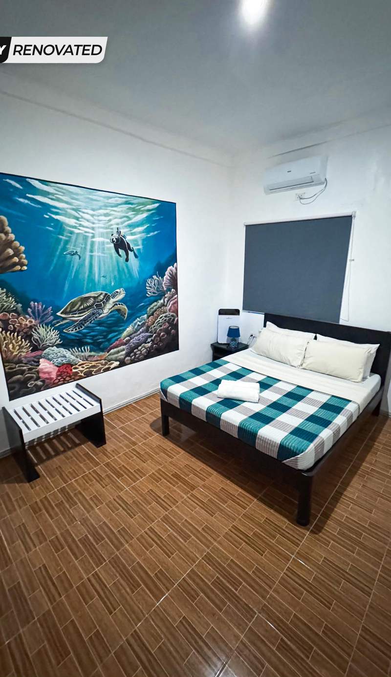 Crazy Bears Hostel