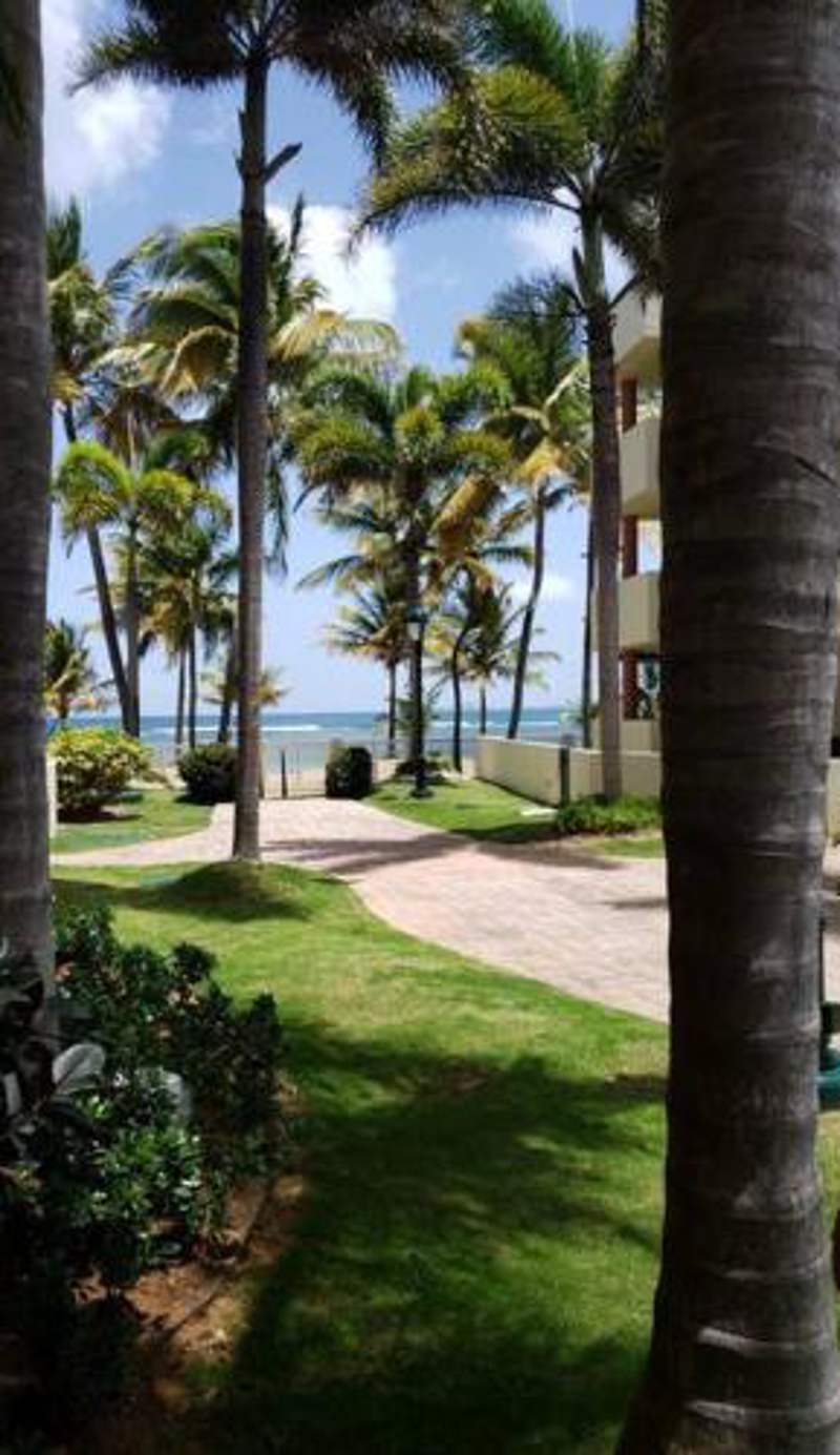 1st Level Unit Steps to Beach- Cold Air Conditioner at Poza del Mar Luquillo