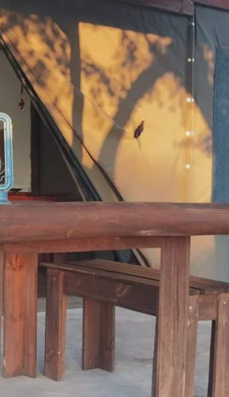 Kingfisher Bush Lodge