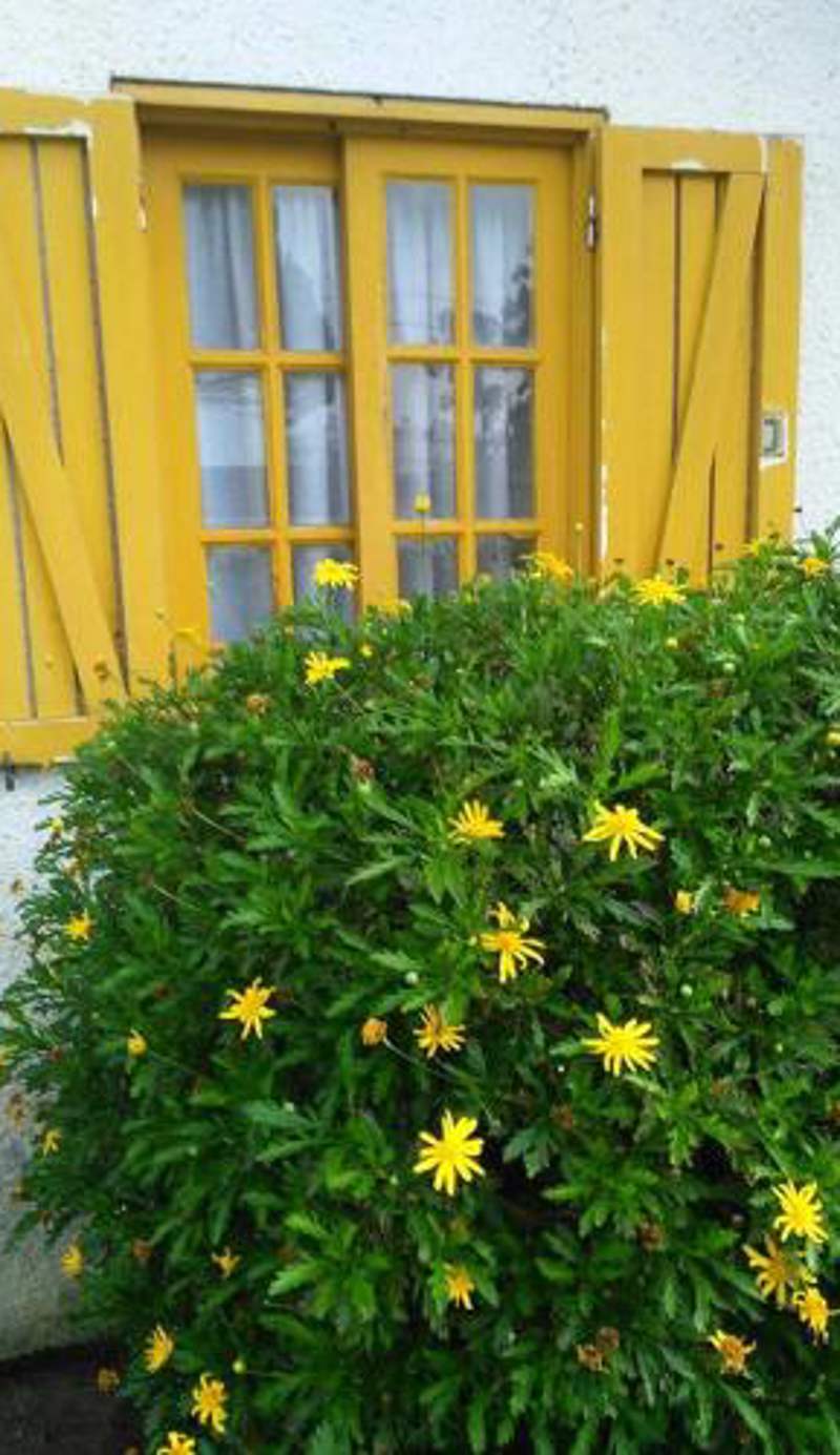 Casa Amarela