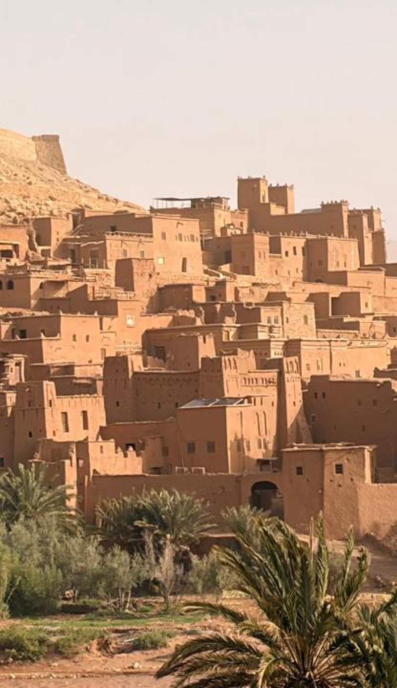 Riad Tamdakhte