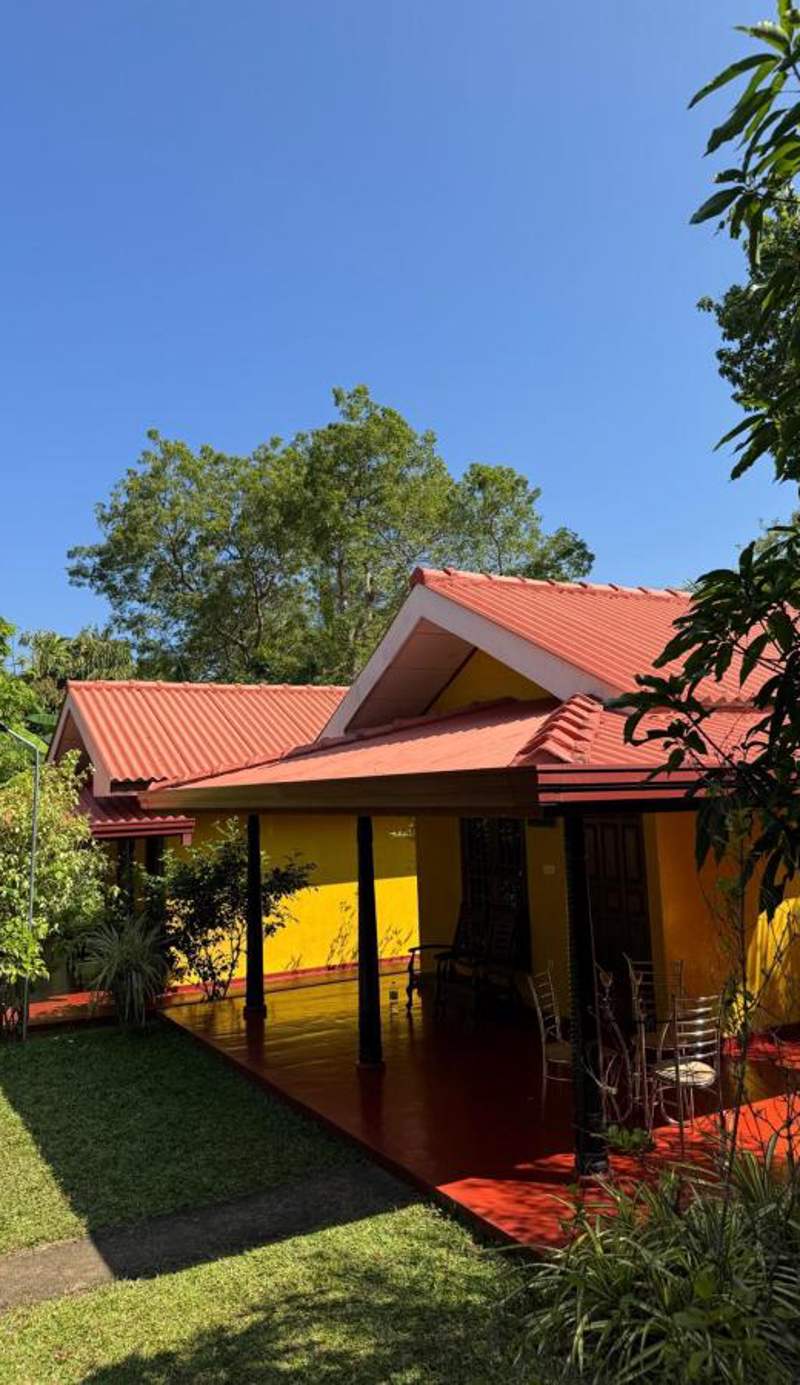 Amazon Cabanas