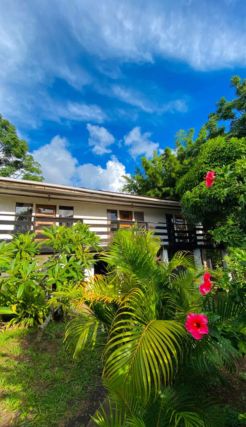 Mata Nui Eco Hostel