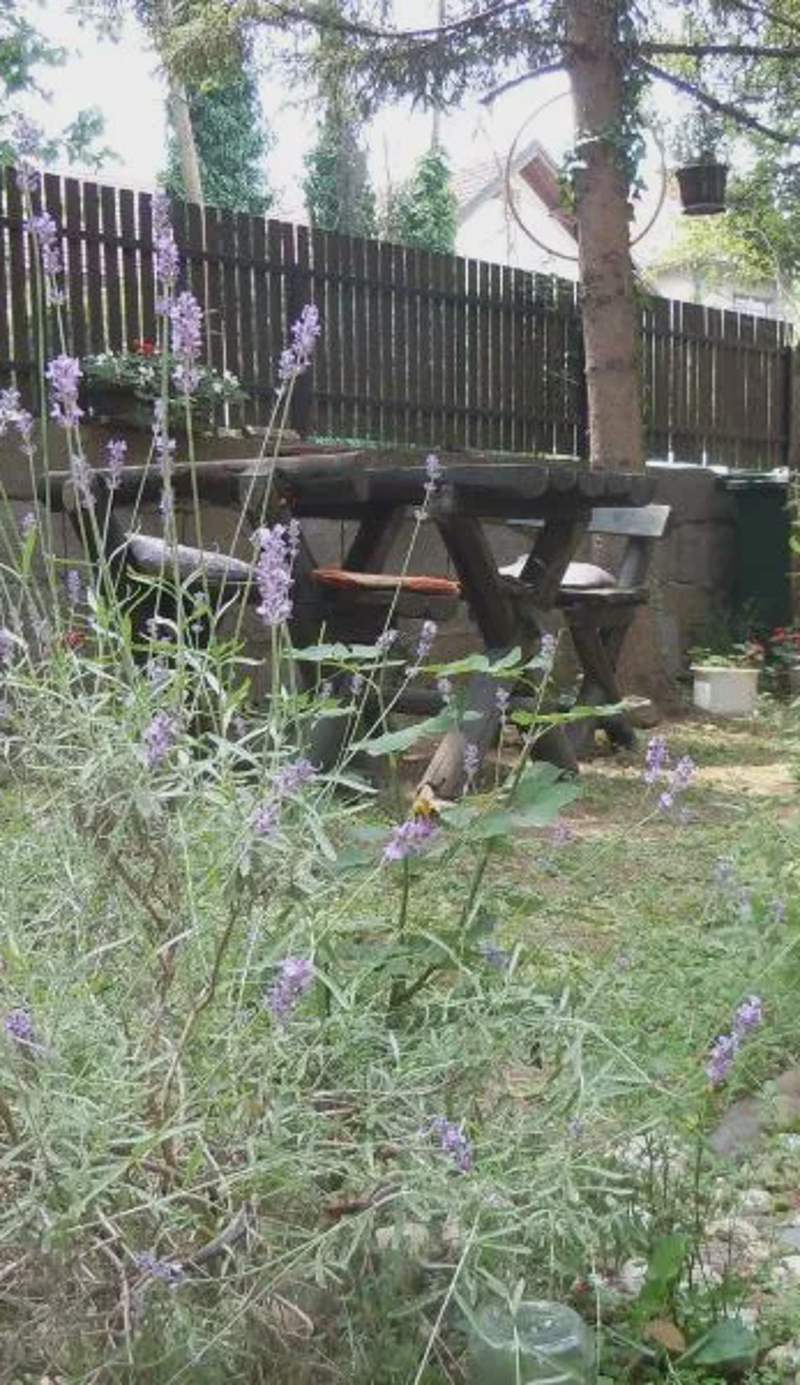 Apartmani Sobe BILJANA
