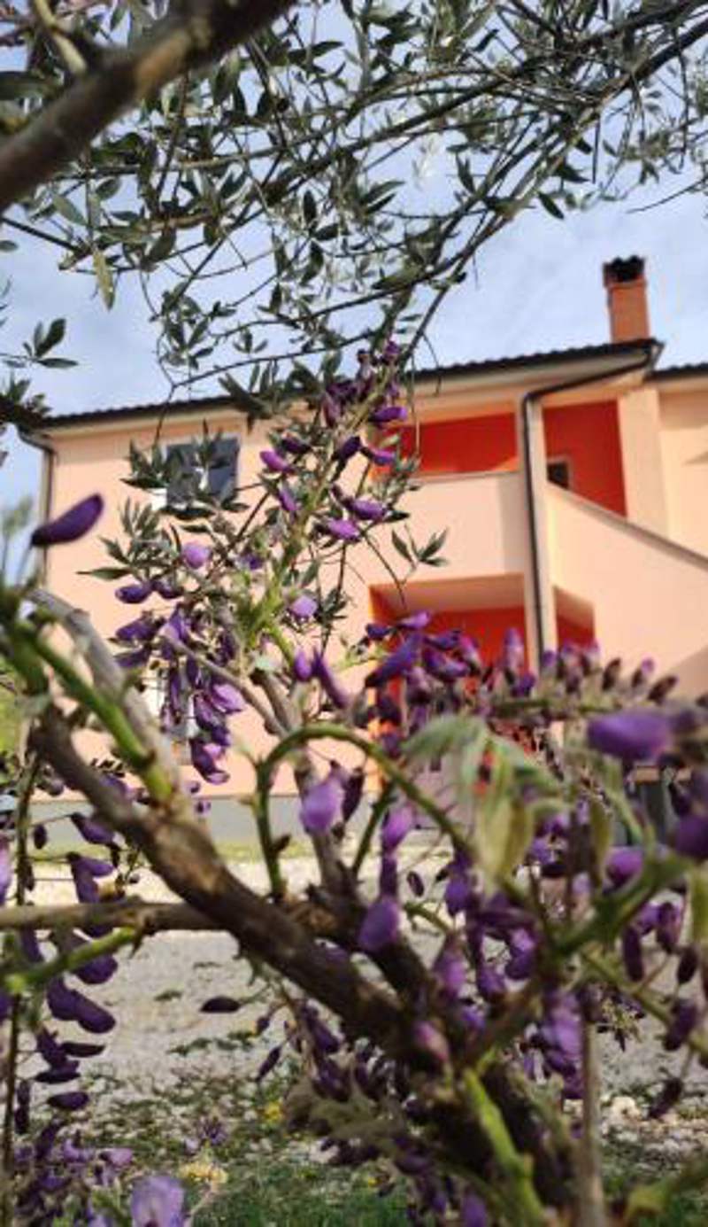 Apartman Tramonto