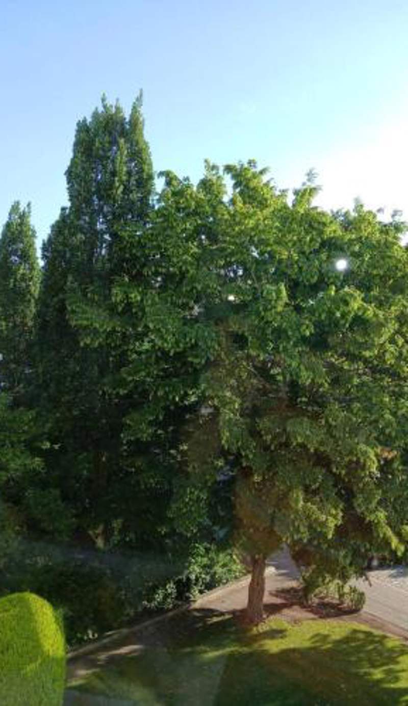 Ruhiges Appartment am Stadtpark