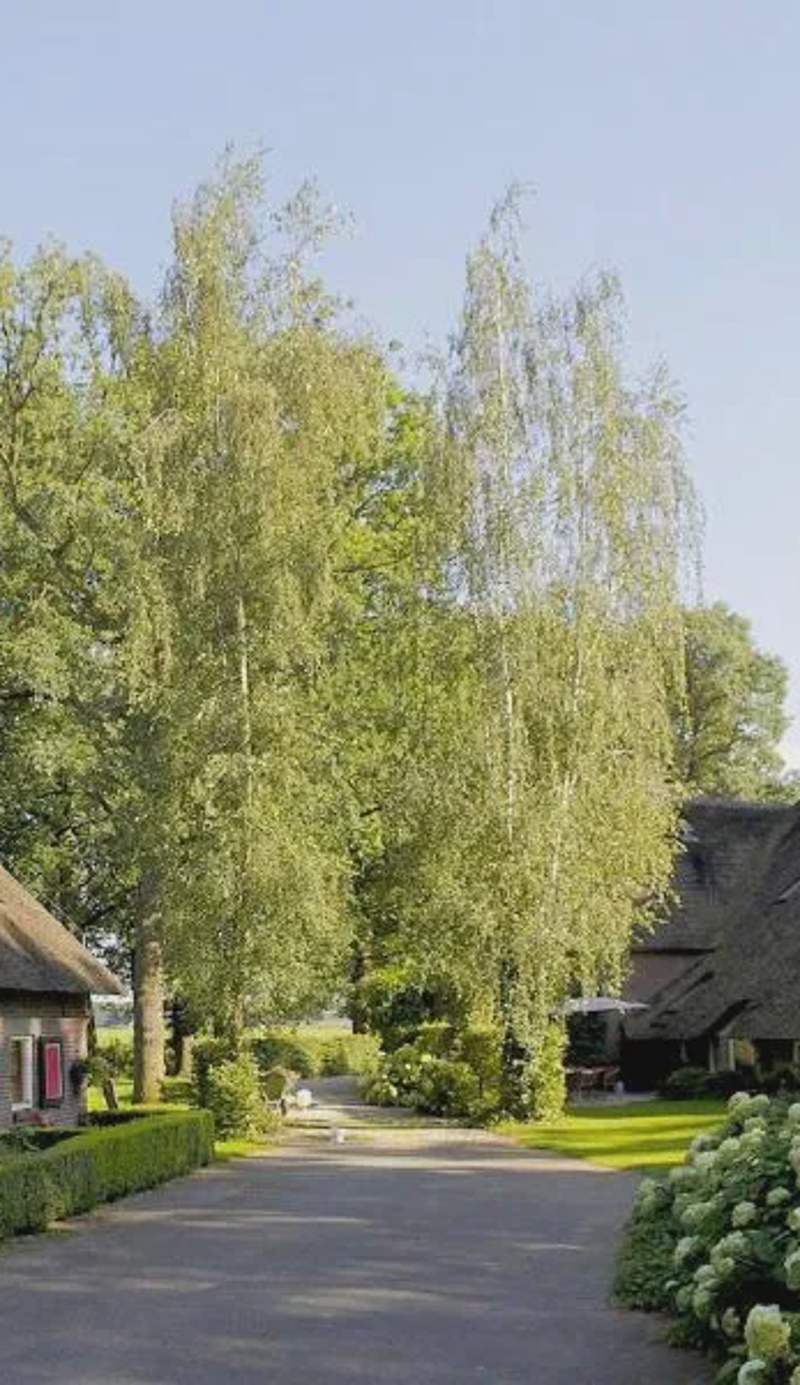 Spijkvoorde